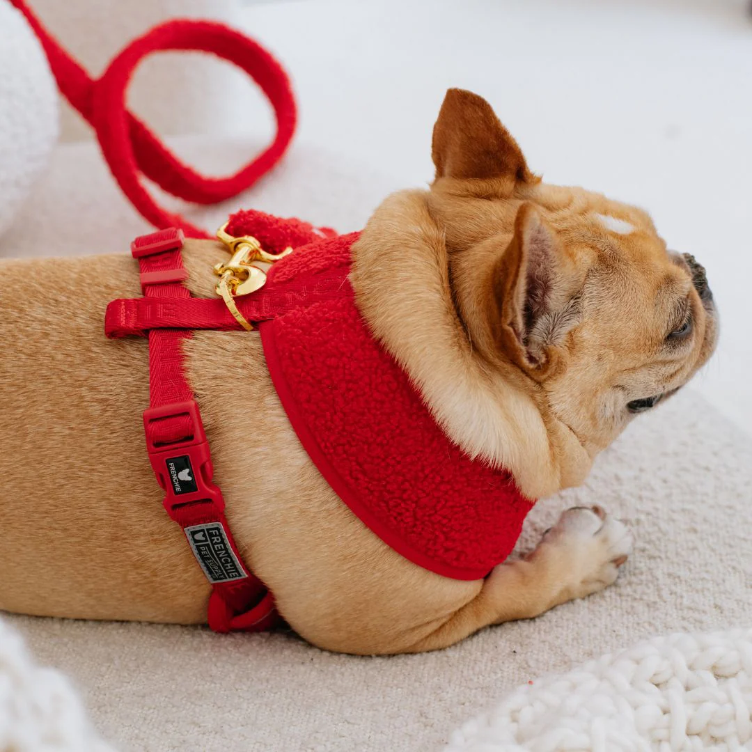 Frenchie Duo Reversible Harness - Teddy Red - Image 9