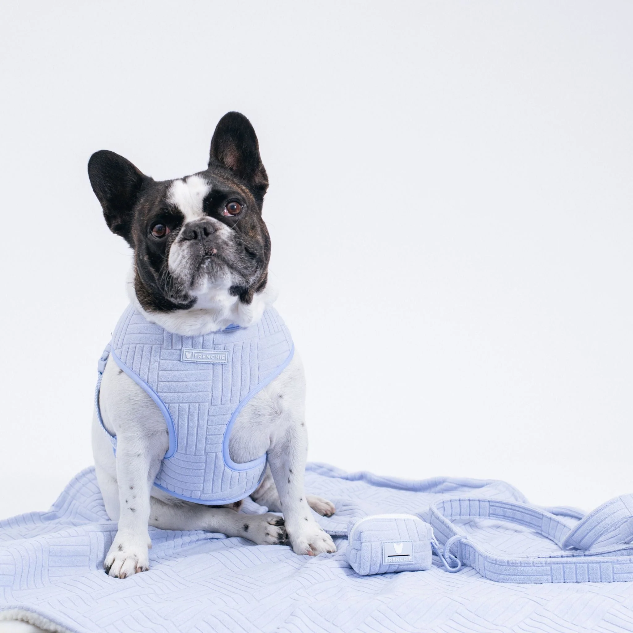 Frenchie Duo Reversible Harness - Terry (Blue) - Image 2