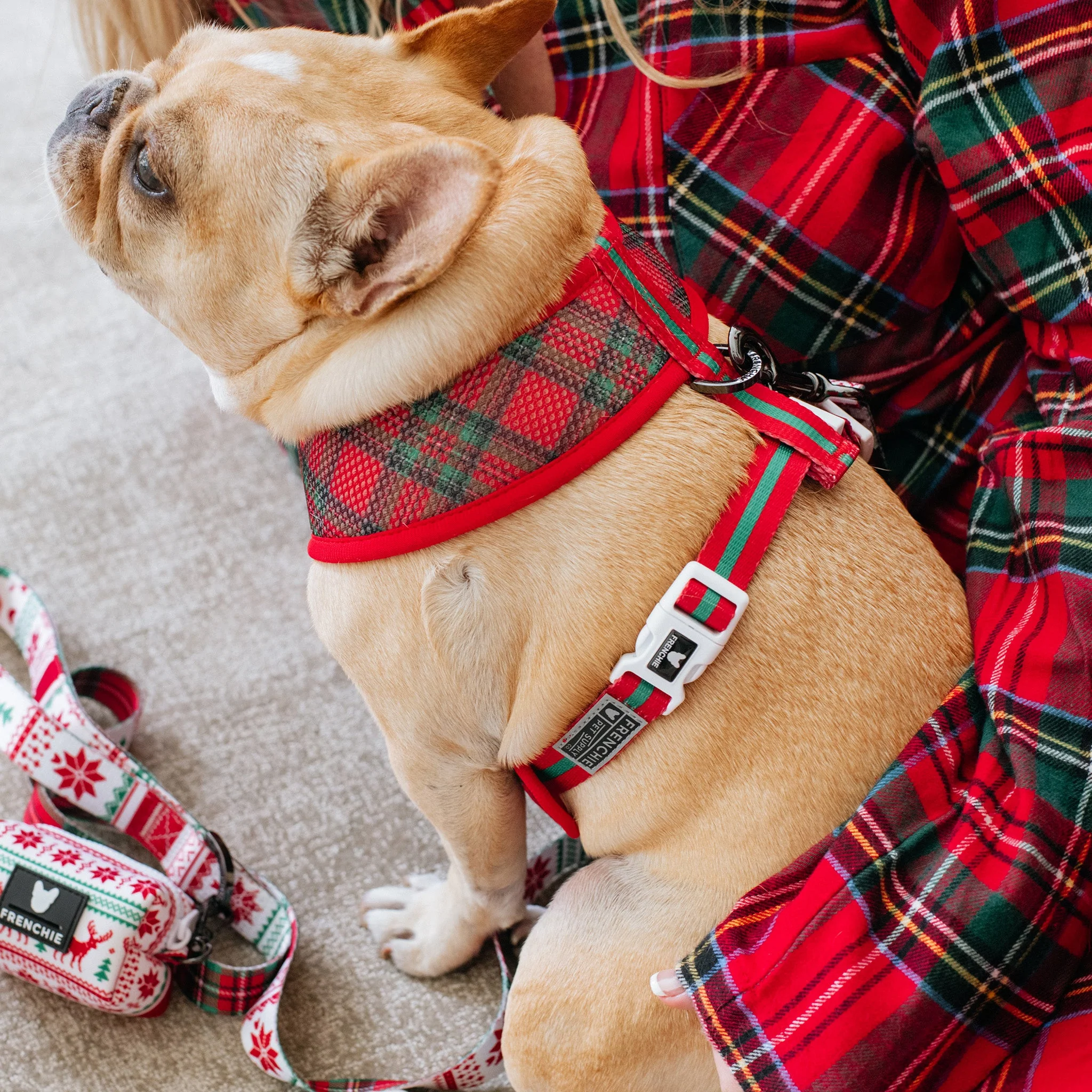 Frenchie Duo Reversible Harness - Tis The Season - Image 10