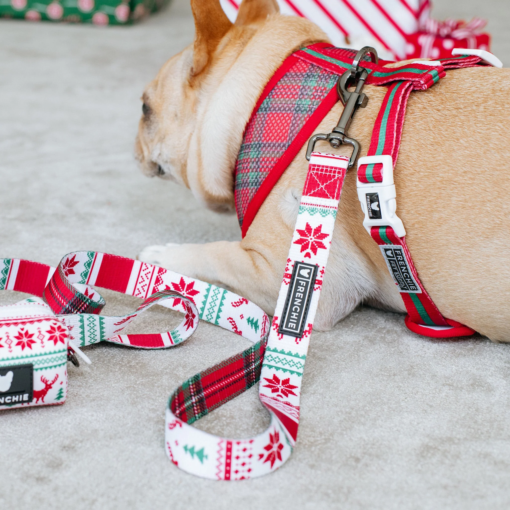 Frenchie Duo Reversible Harness - Tis The Season - Image 8