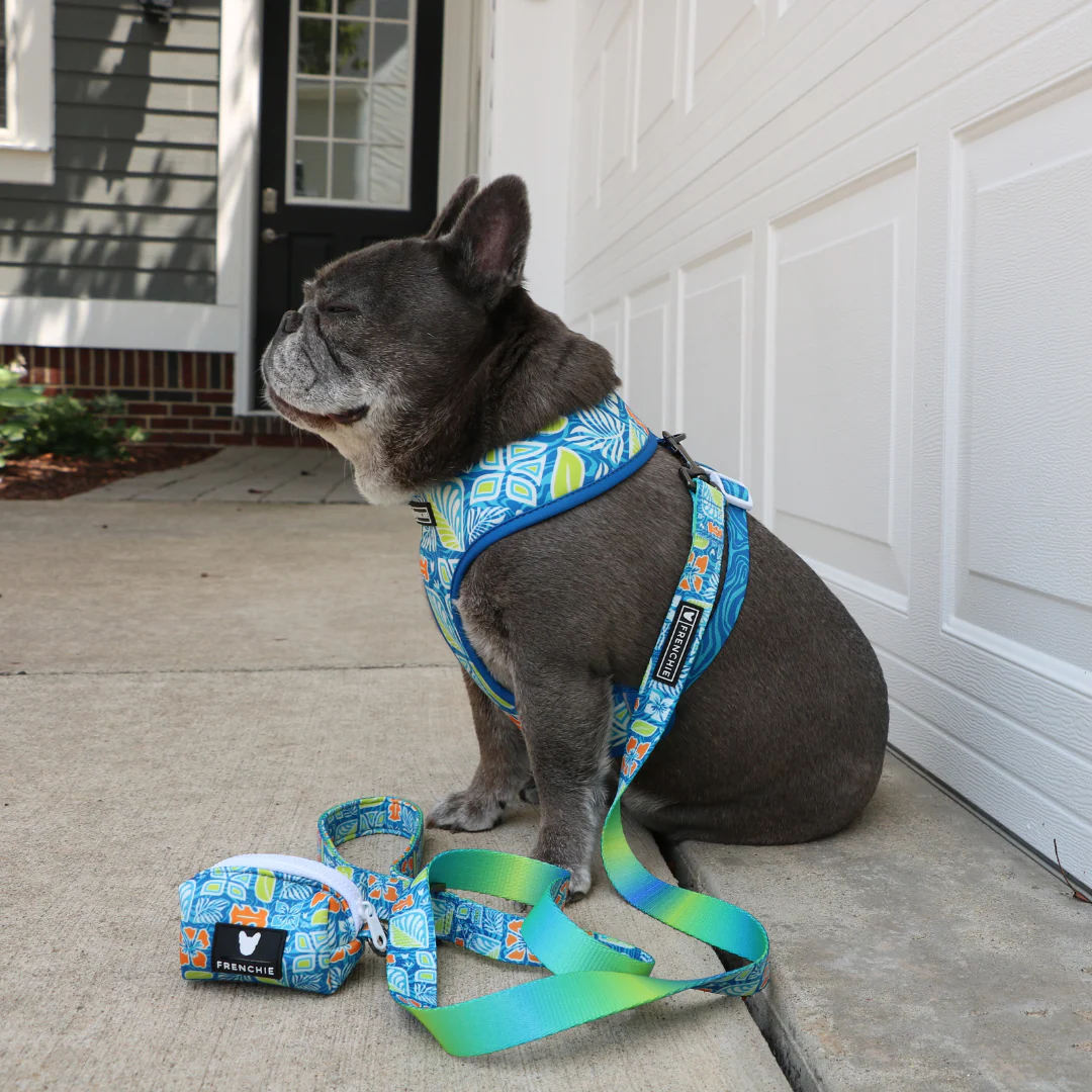 Frenchie Duo Reversible Harness - Waikiki - Image 6