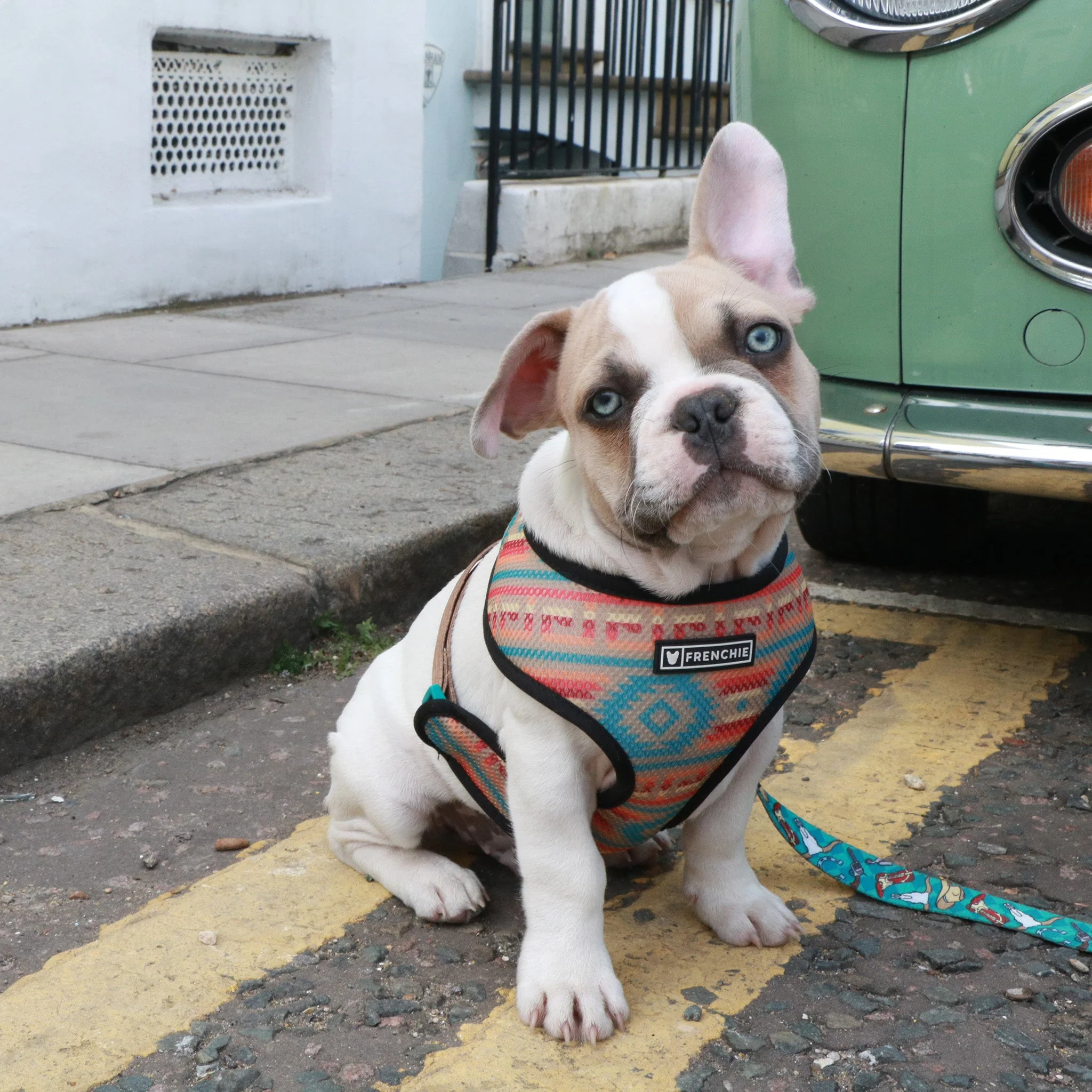 Frenchie Duo Reversible Harness - Wild West - Image 2