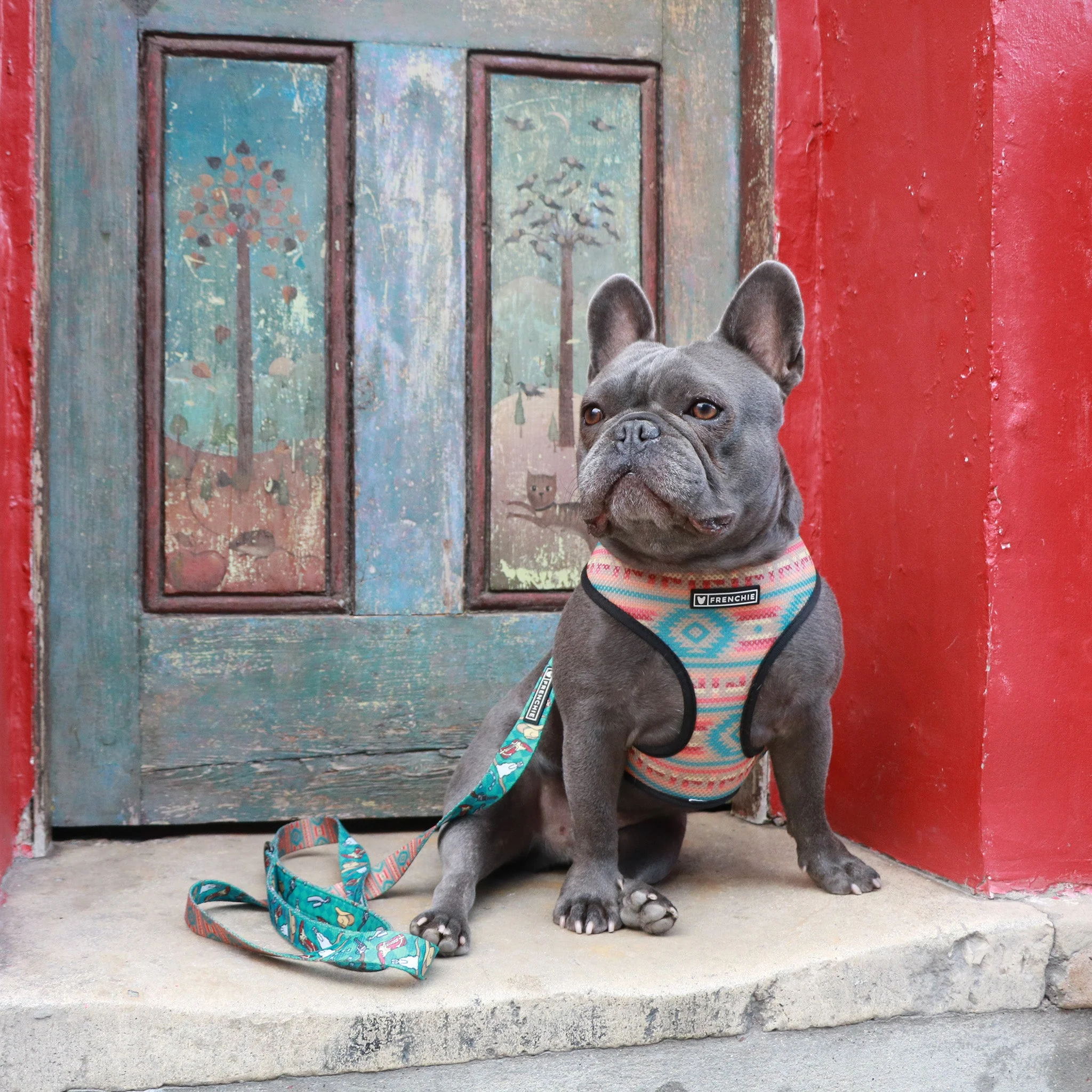 Frenchie Duo Reversible Harness - Wild West - Image 6