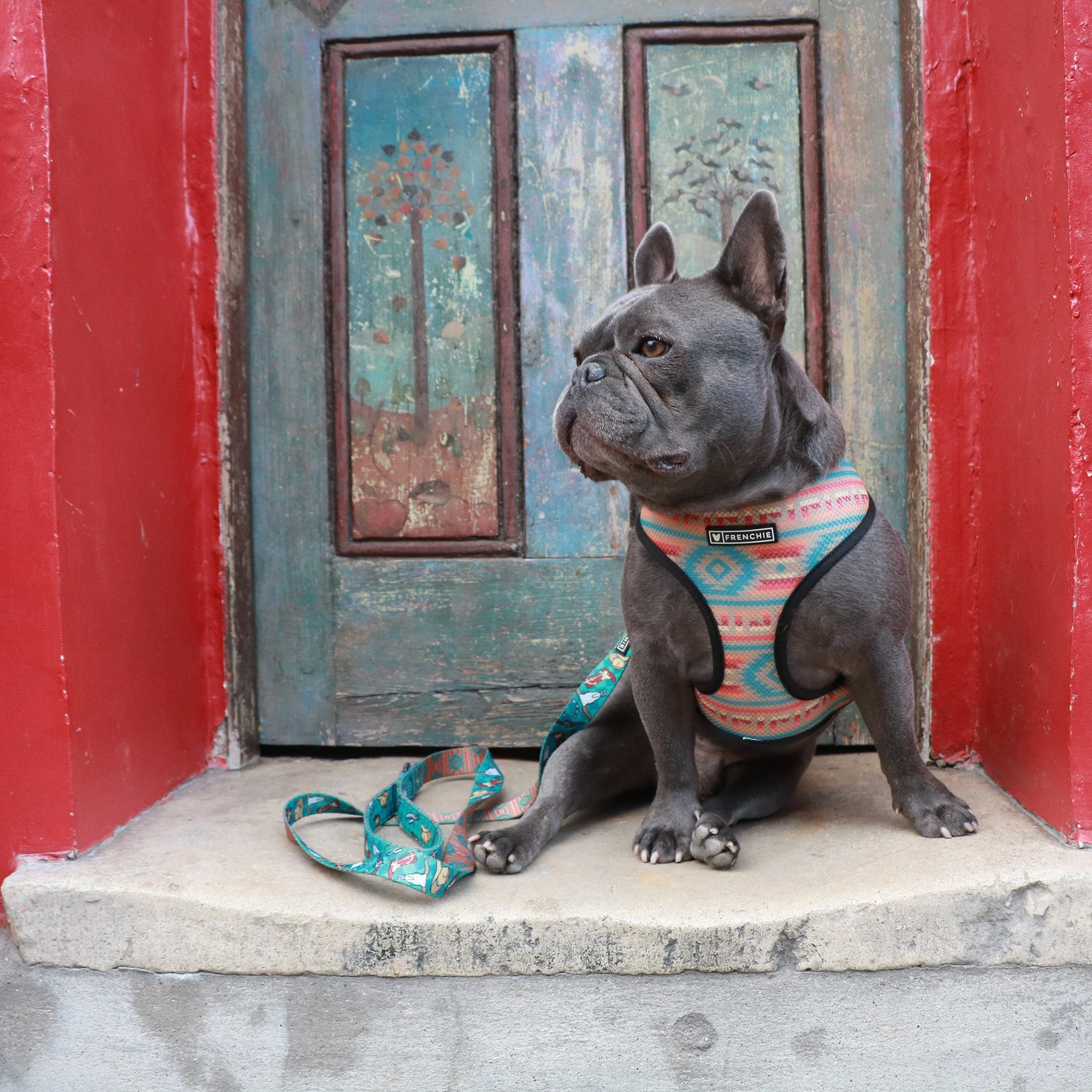 Frenchie Duo Reversible Harness - Wild West - Image 7