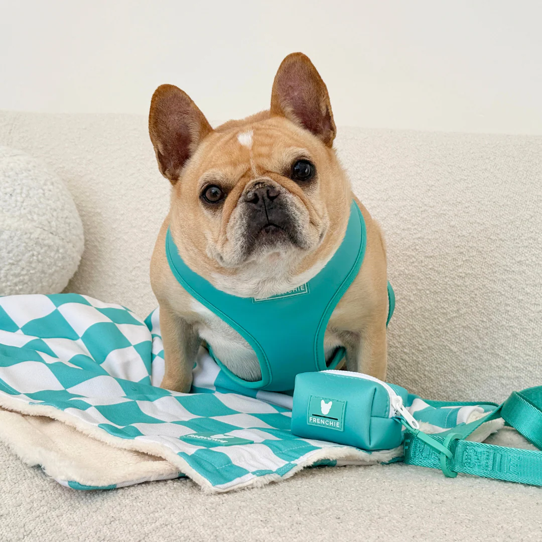 Frenchie Poo Bag Holder - Aqua - Image 3