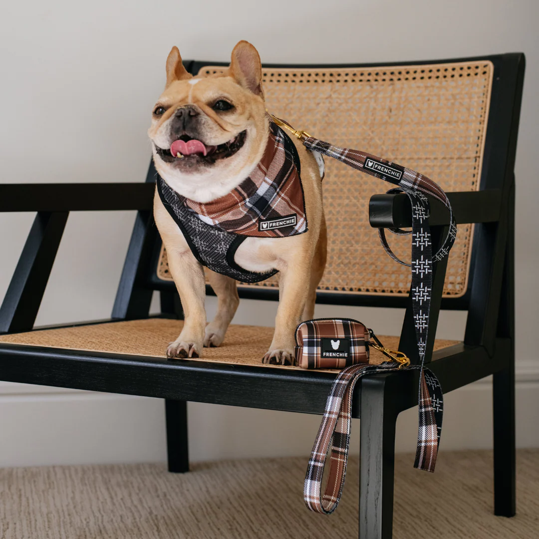 Frenchie Poo Bag Holder - Cocoa Plaid - Image 3