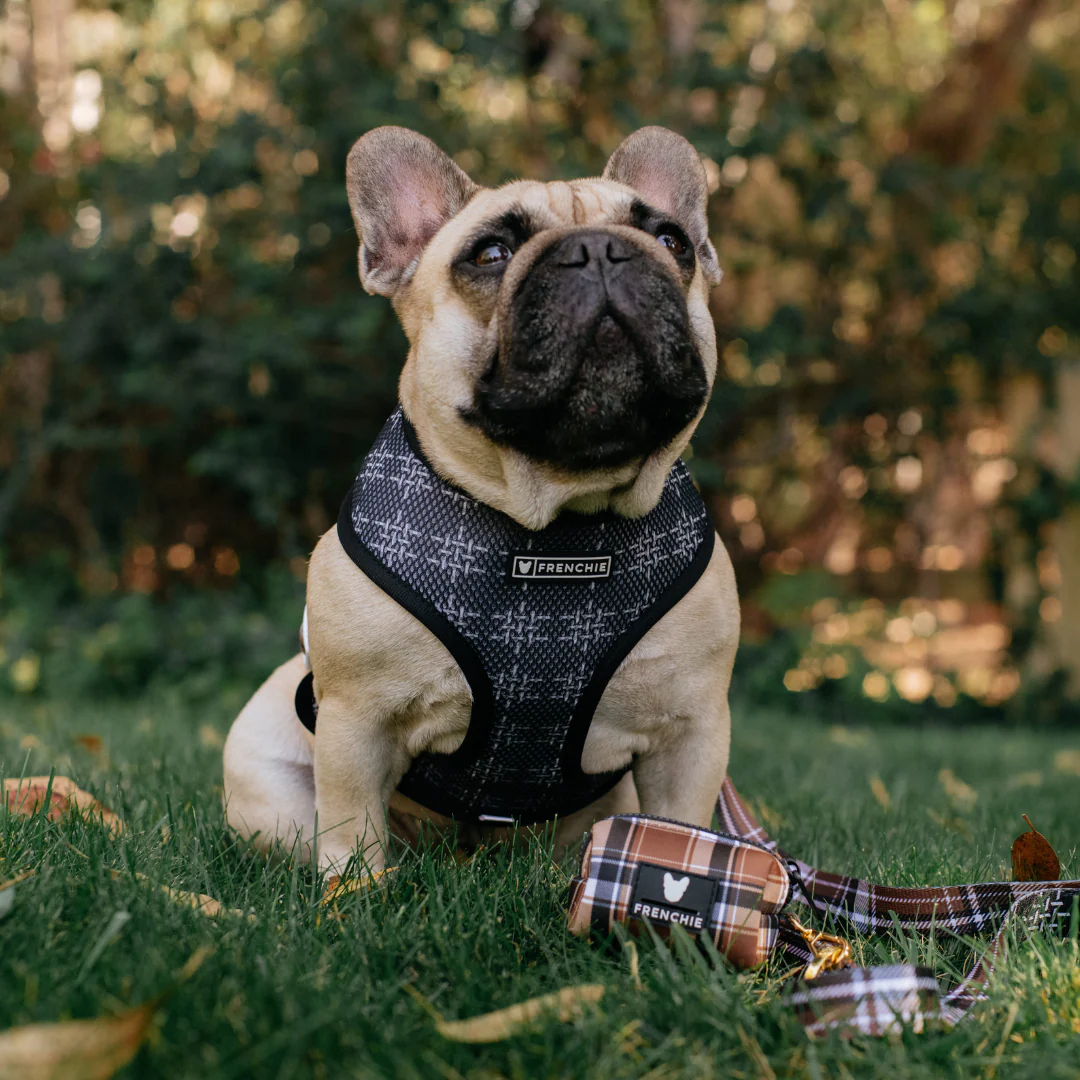 Frenchie Poo Bag Holder - Cocoa Plaid - Image 6