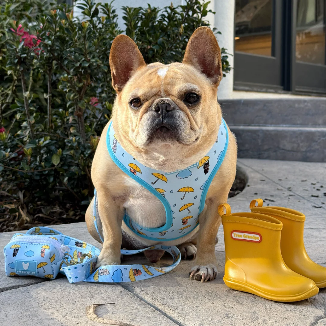 Frenchie Poo Bag Holder - Its Raining Frenchies - Image 4