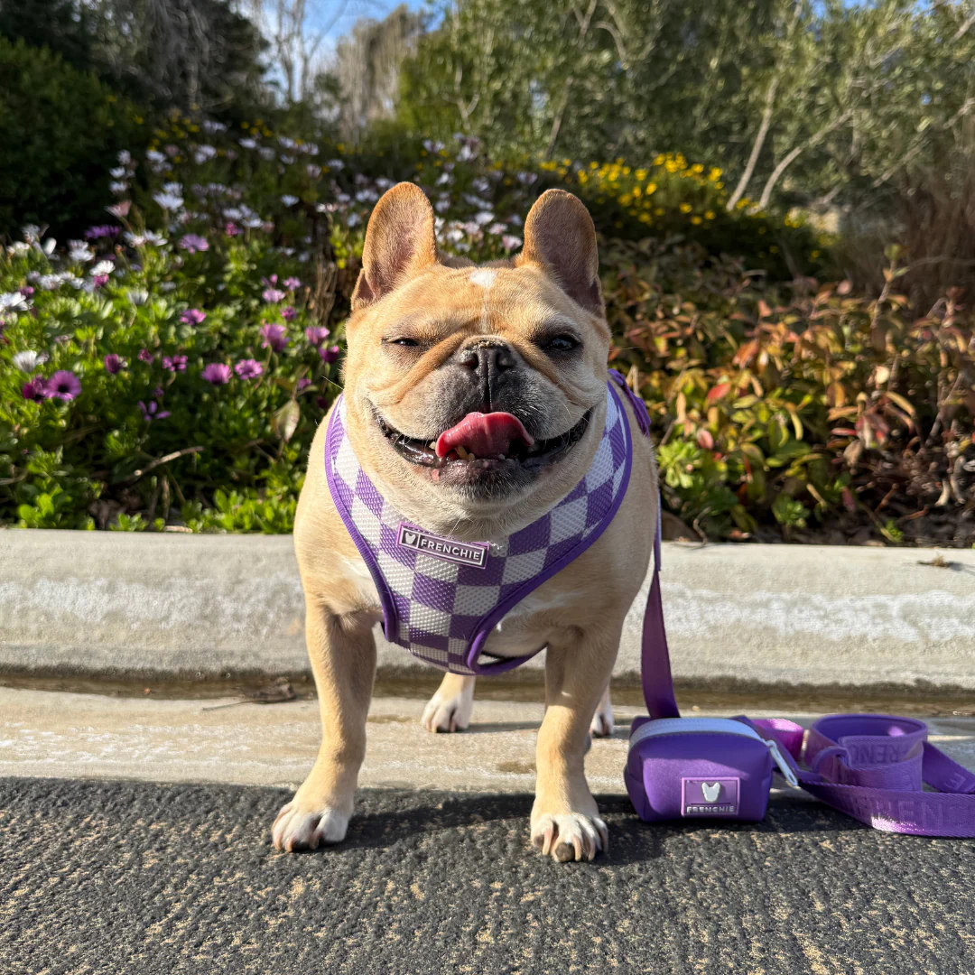 Frenchie Poo Bag Holder - LA Purple - Image 3