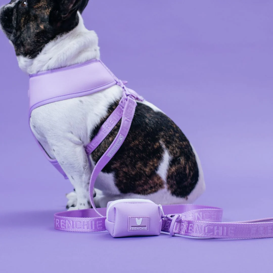 Frenchie Poo Bag Holder - Lavender - Image 4
