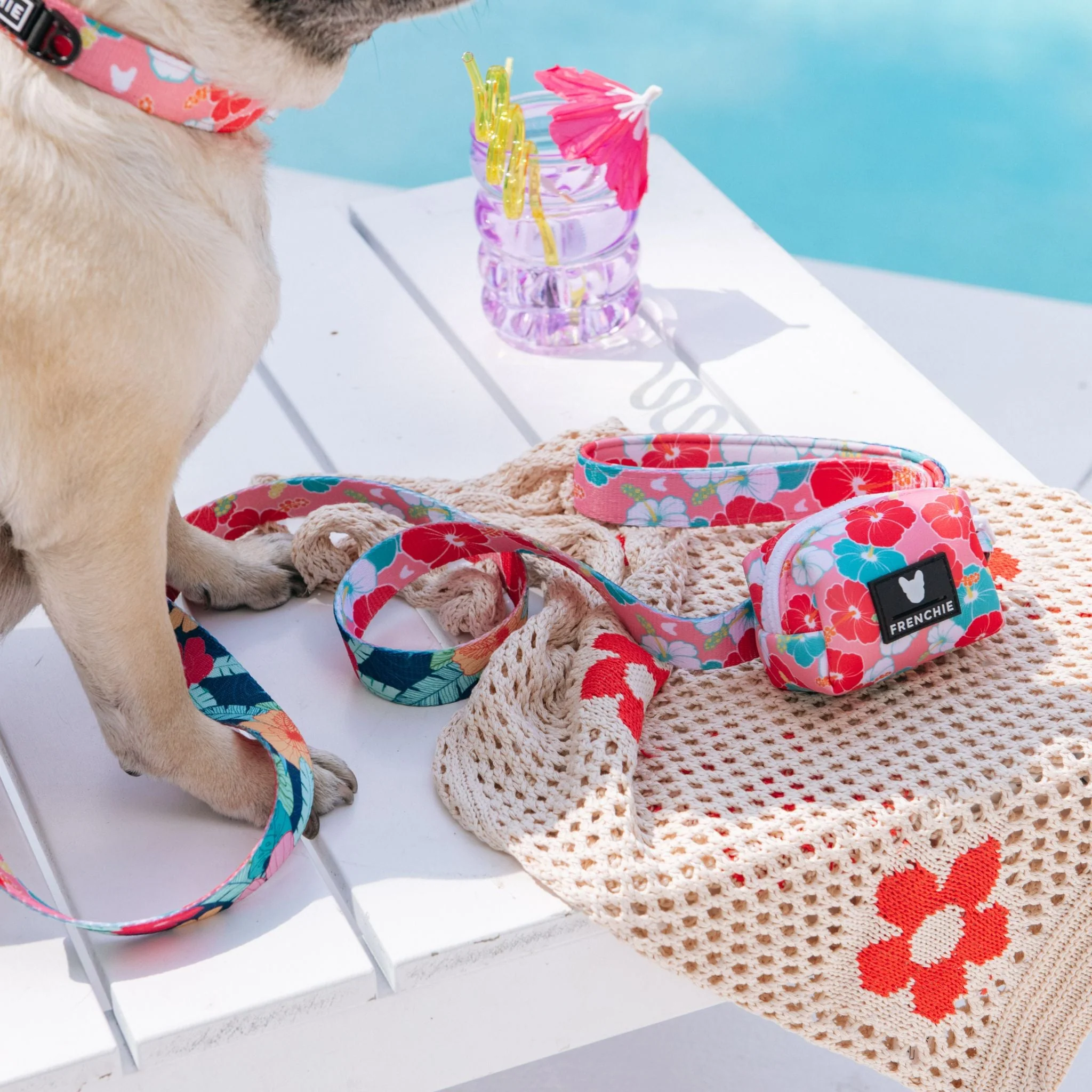 Frenchie Poo Bag Holder - Paradise - Image 5