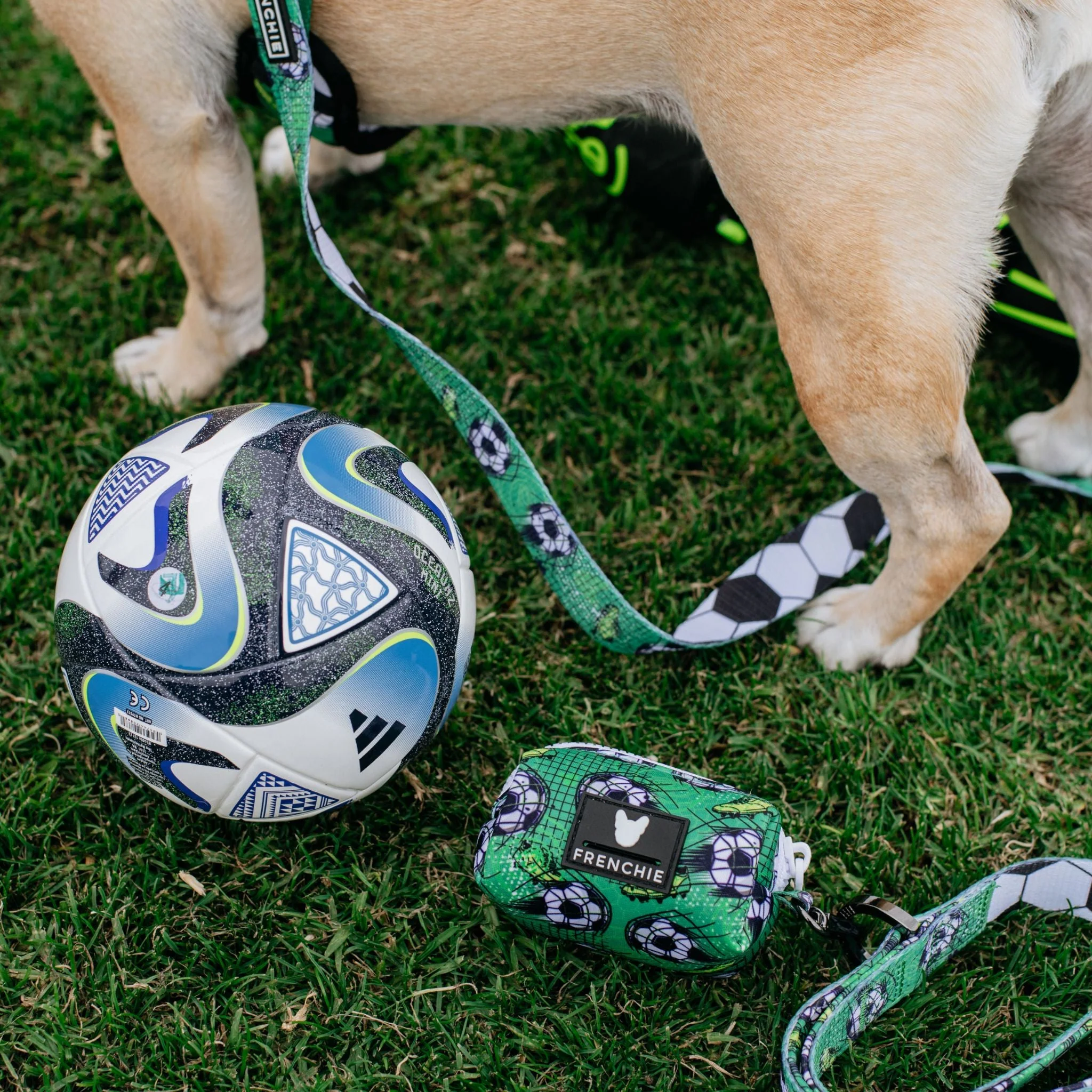 Frenchie Poo Bag Holder - Soccer - Image 2