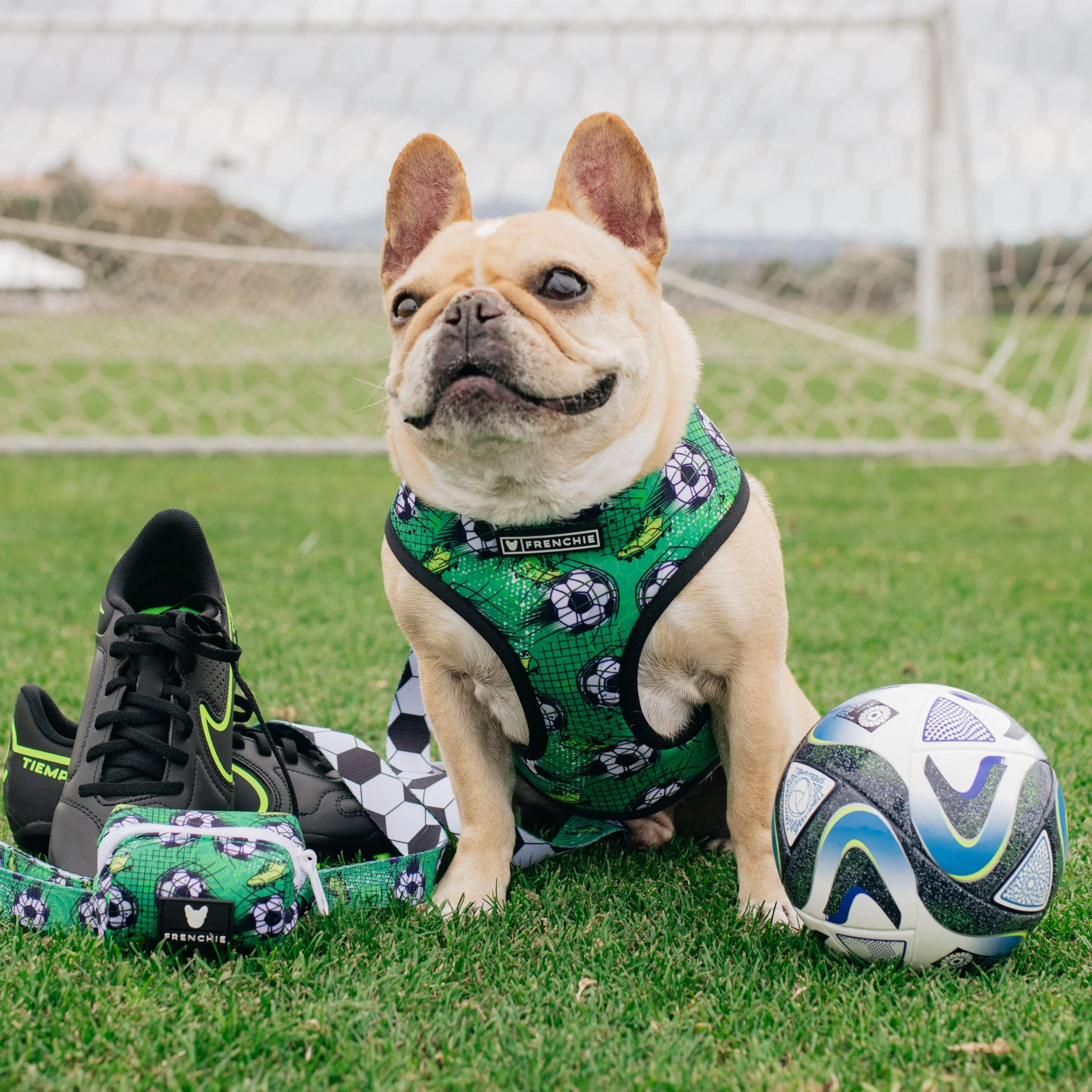 Frenchie Poo Bag Holder - Soccer - Image 3