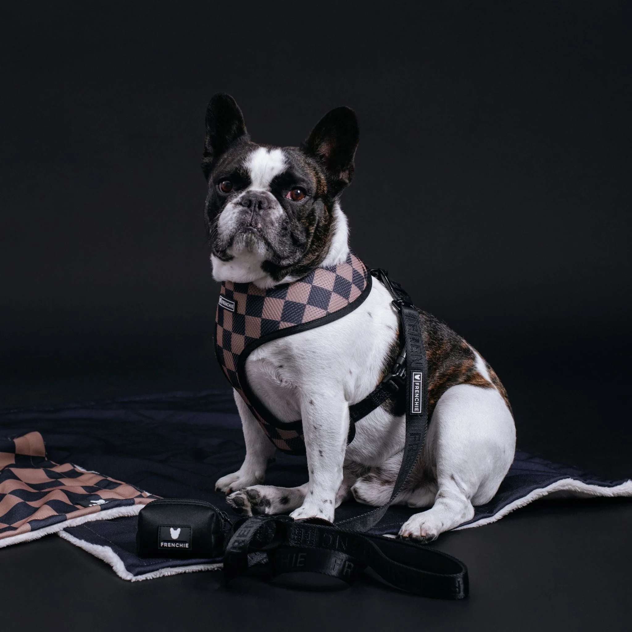 Frenchie Poo Bag Holder - Solid Black - Image 2