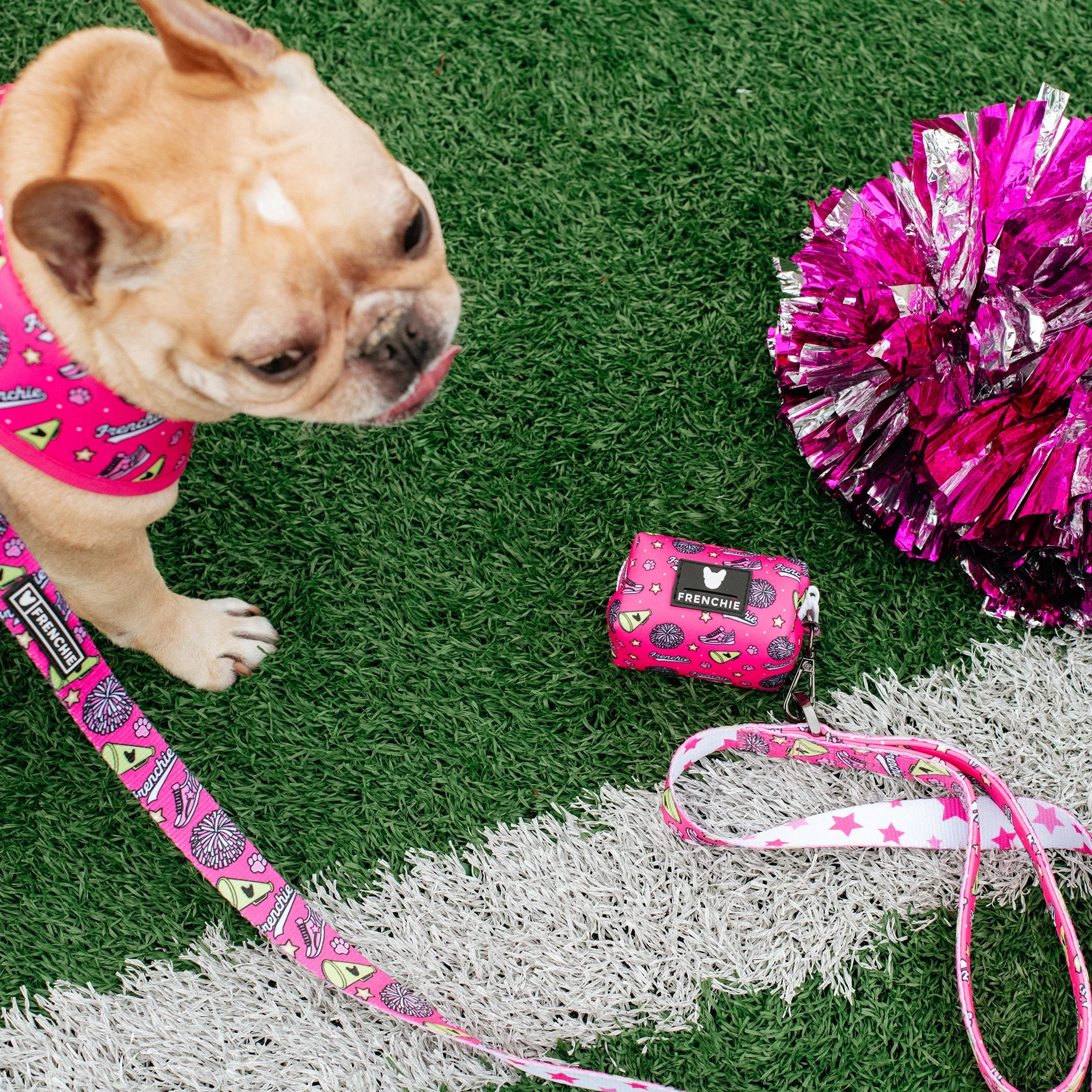 Frenchie Poo Bag Holder - Spirit Paws - Image 3