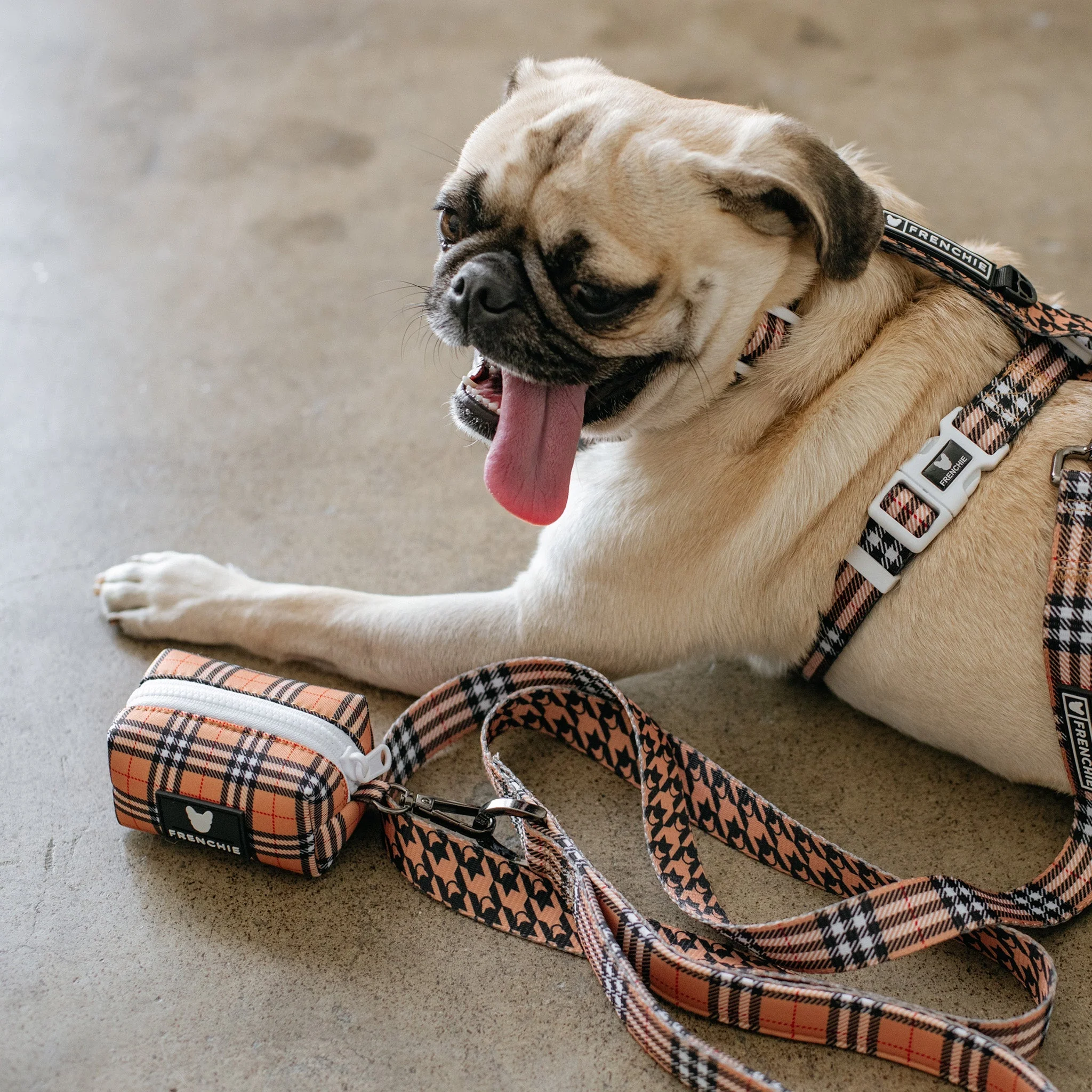 Frenchie Poo Bag Holder - Tan Tartan - Image 4