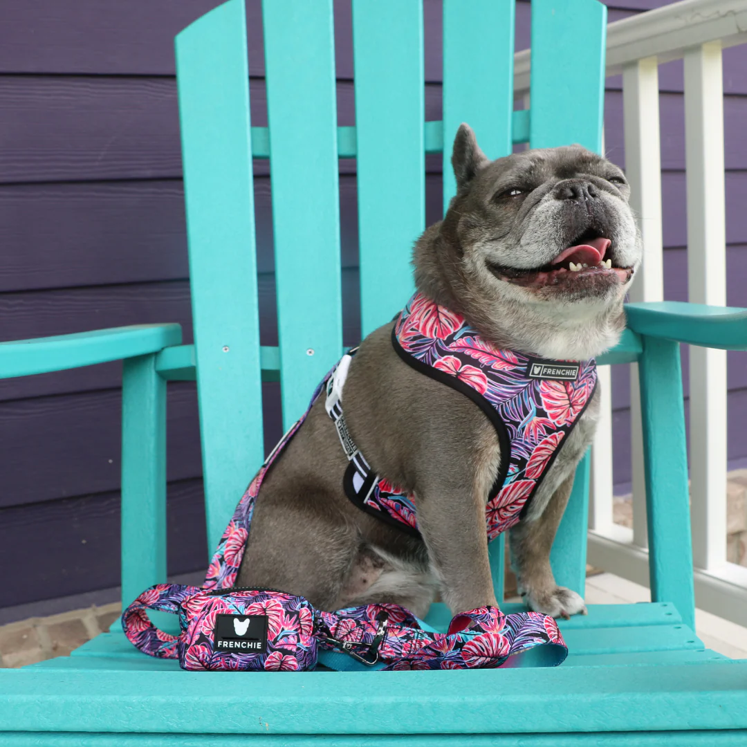 Frenchie Poo Bag Holder - Tropical Palms - Image 5