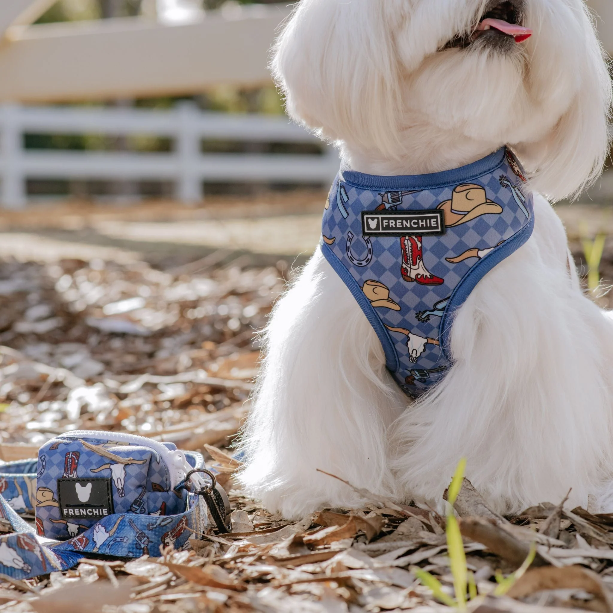 Frenchie Poo Bag Holder - Wild West (Blue) - Image 4