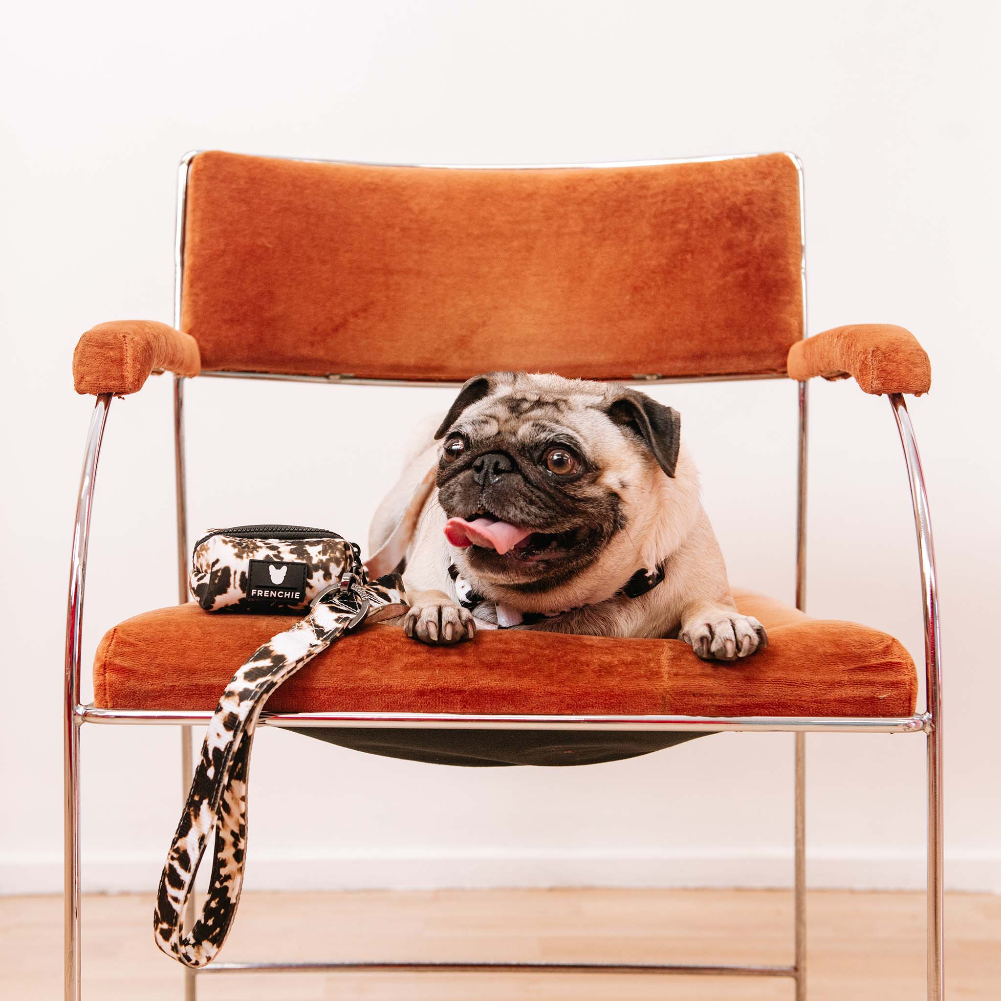 Frenchie Strap Harness - Earthy Tie Dye - Image 2