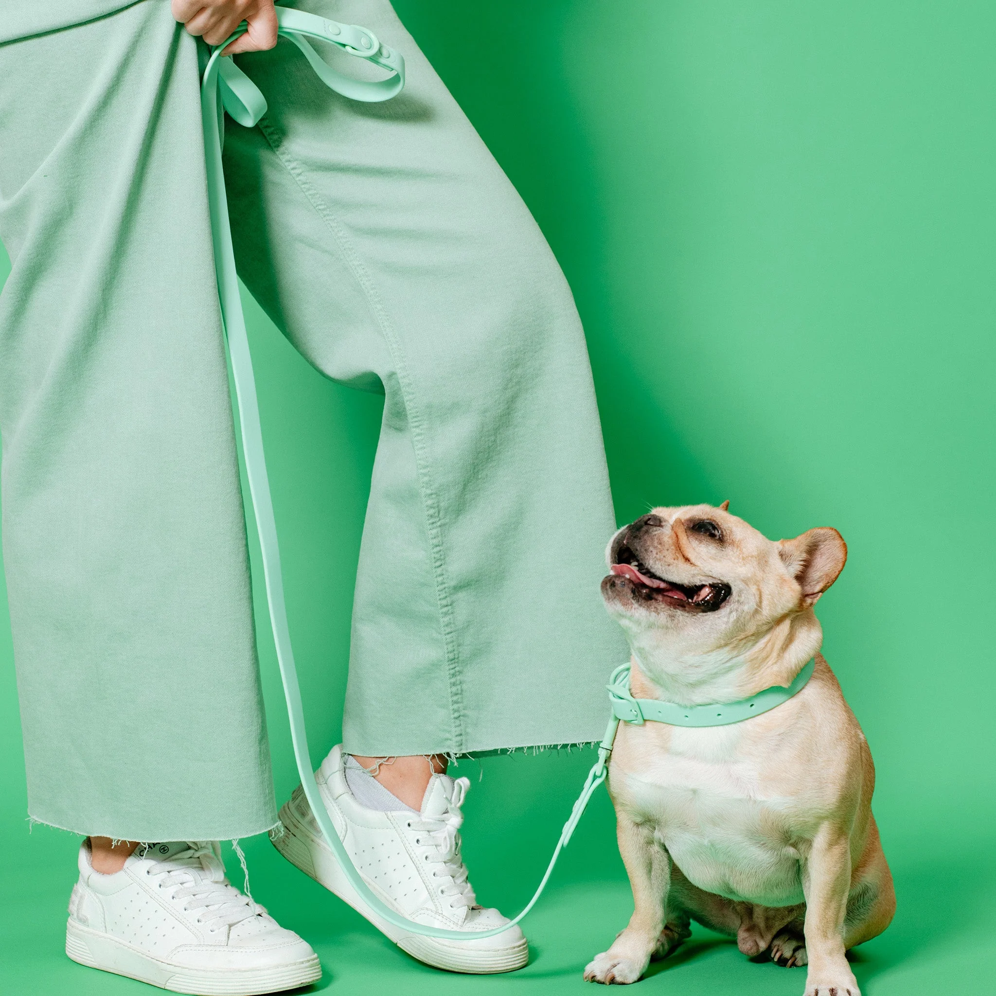 Frenchie Waterproof Leash - Mint Green - Image 4