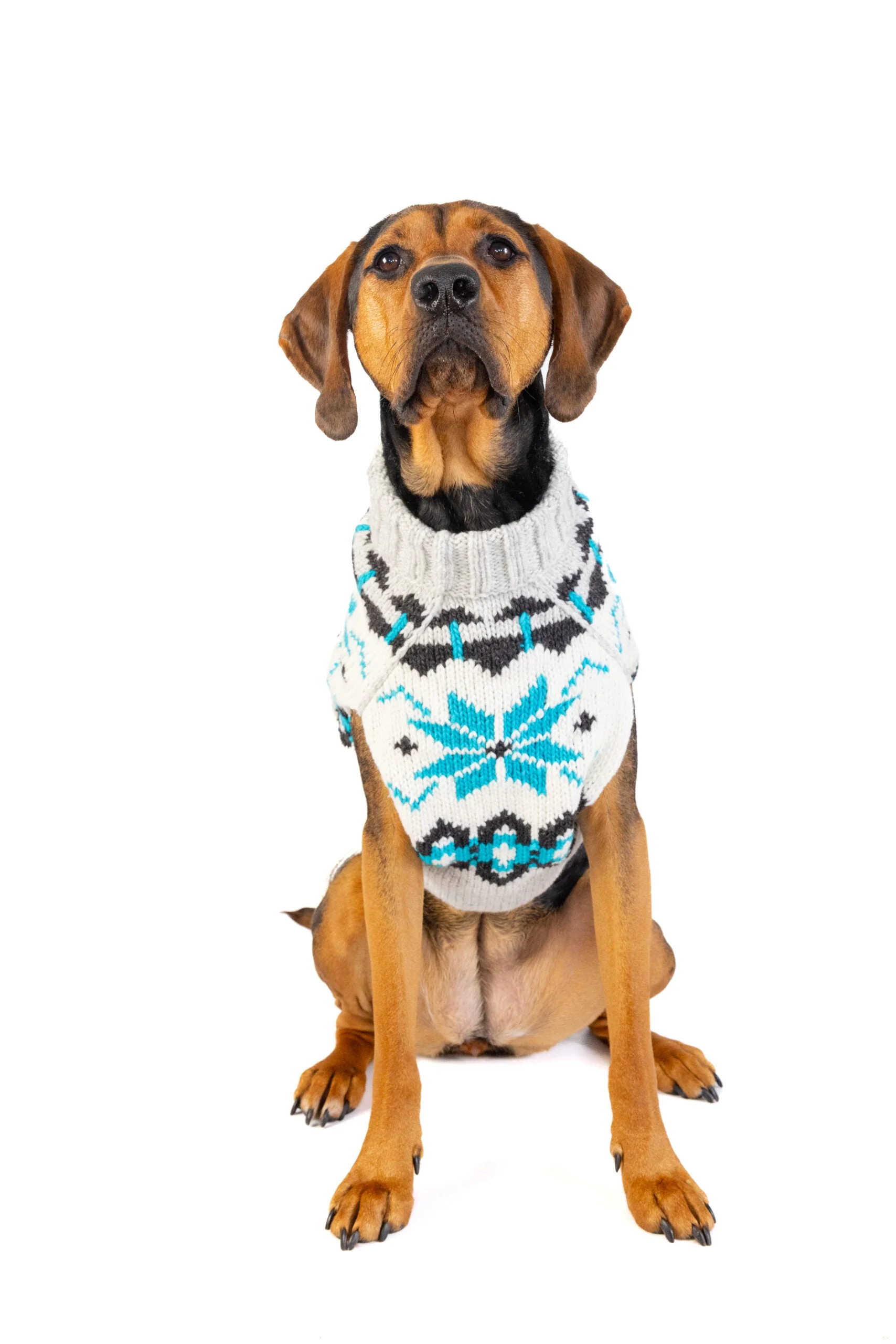 Frost Dog Sweater - Image 3