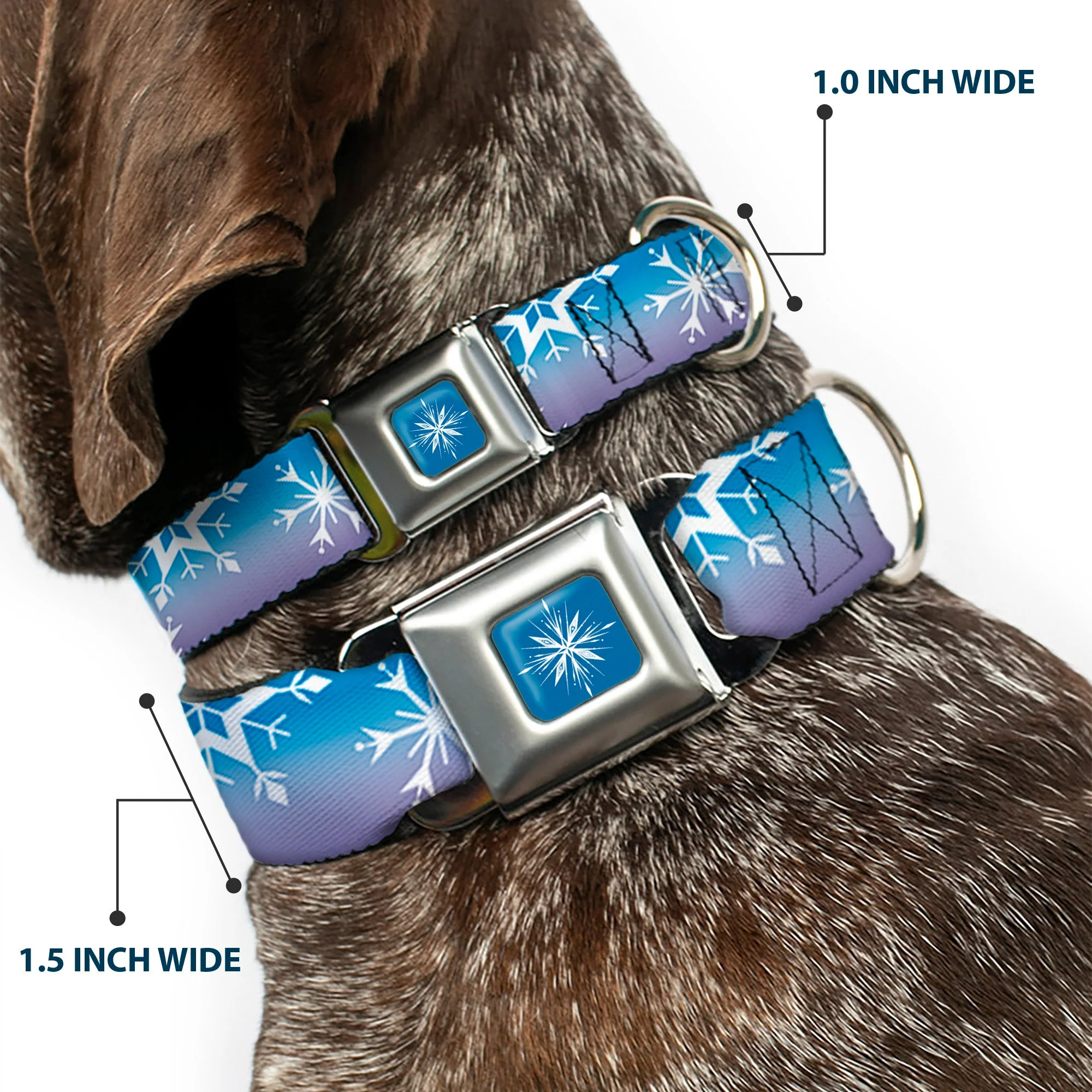 Frozen II Snowflake Full Color Blue/White Seatbelt Buckle Collar - Frozen II Snowflakes Blues/Purples/White - Image 2