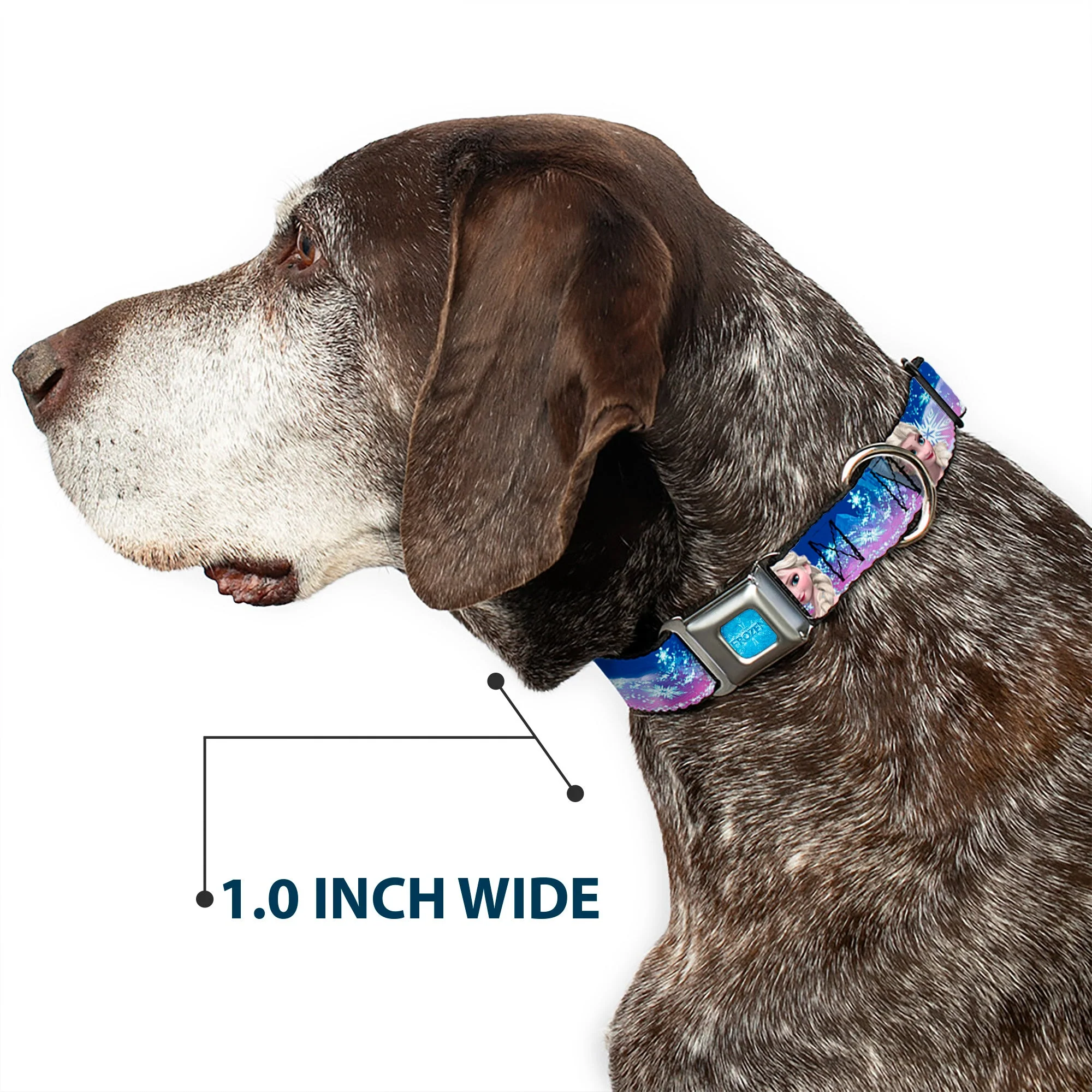 FROZEN Logo Full Color Blues Seatbelt Buckle Collar - Elsa the Snow Queen Poses/Castle & Snowy Mountains Blue-Pink Fade - Image 6