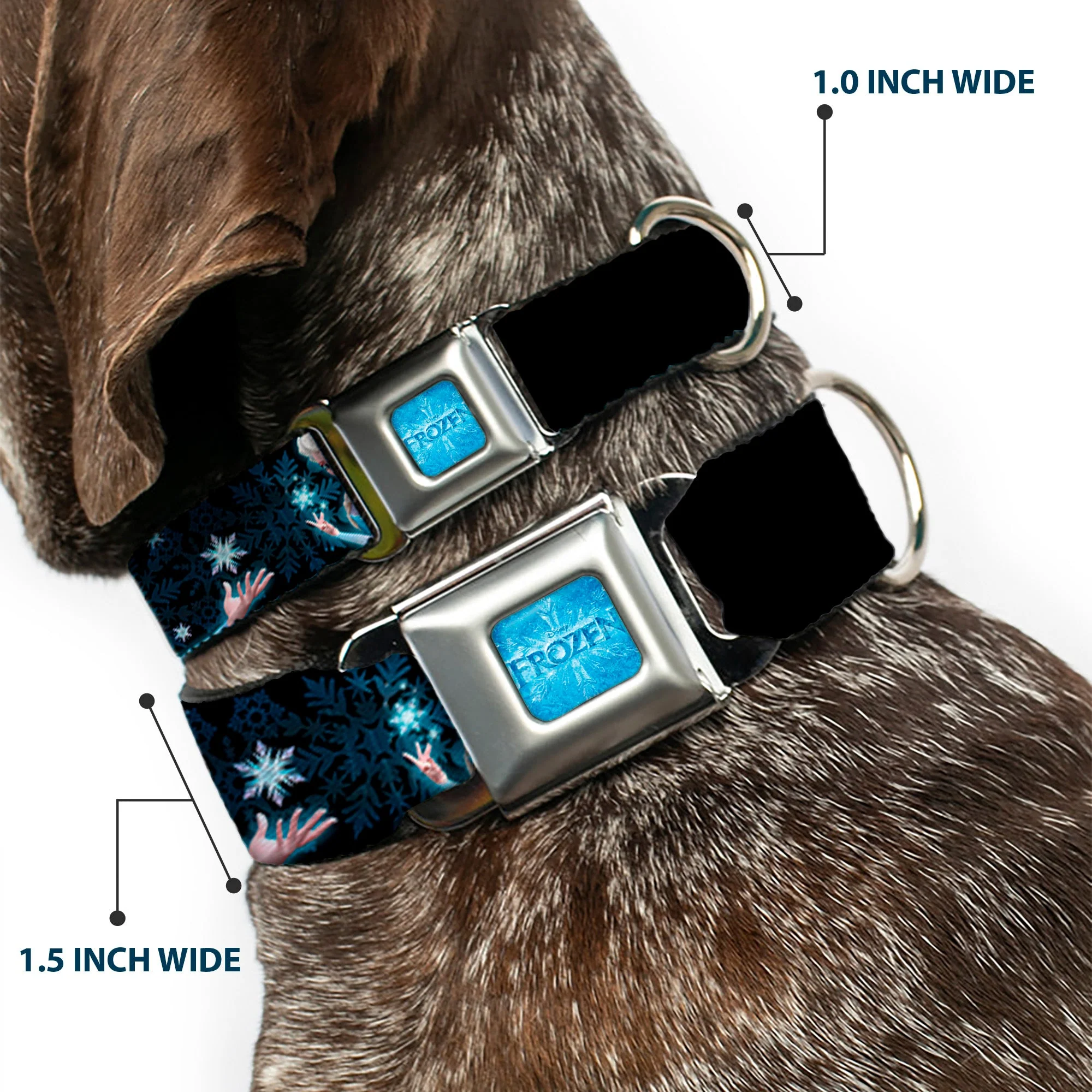 FROZEN Logo Full Color Blues Seatbelt Buckle Collar - Elsa the Snow Queen Poses PERFECT AND POWERFUL Blues/White - Image 2