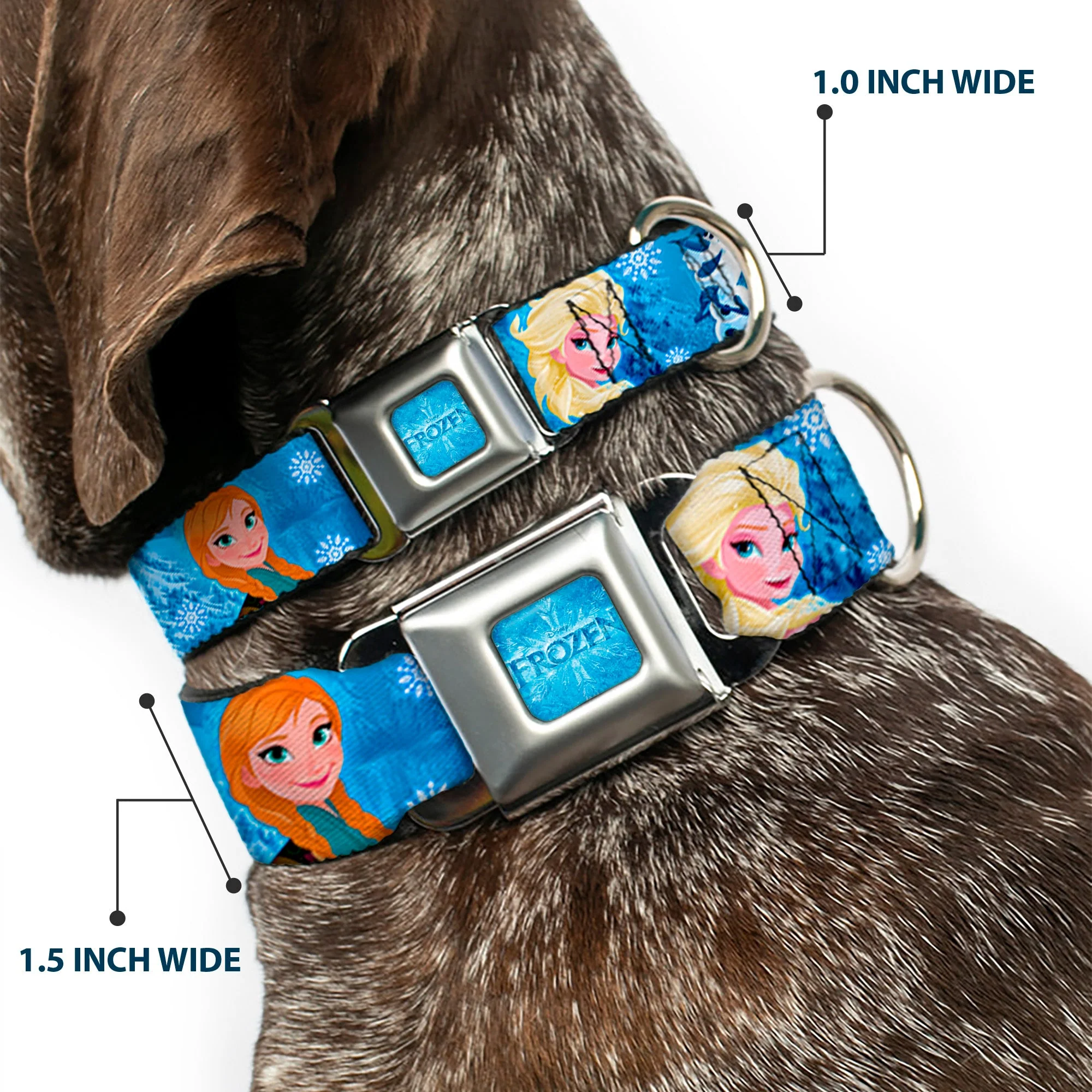 FROZEN Logo Full Color Blues Seatbelt Buckle Collar - Frozen Character Poses Blues - Image 2