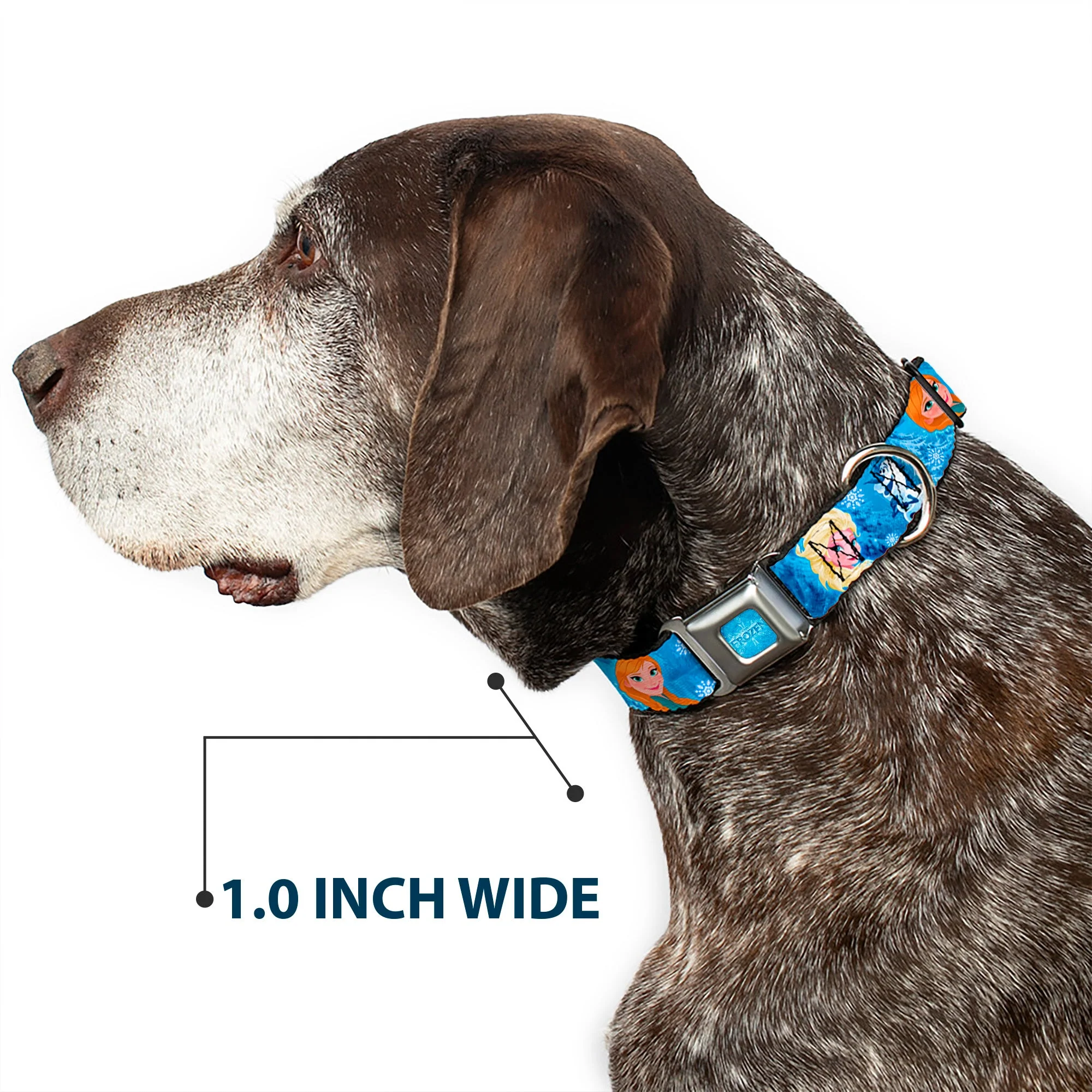 FROZEN Logo Full Color Blues Seatbelt Buckle Collar - Frozen Character Poses Blues - Image 6