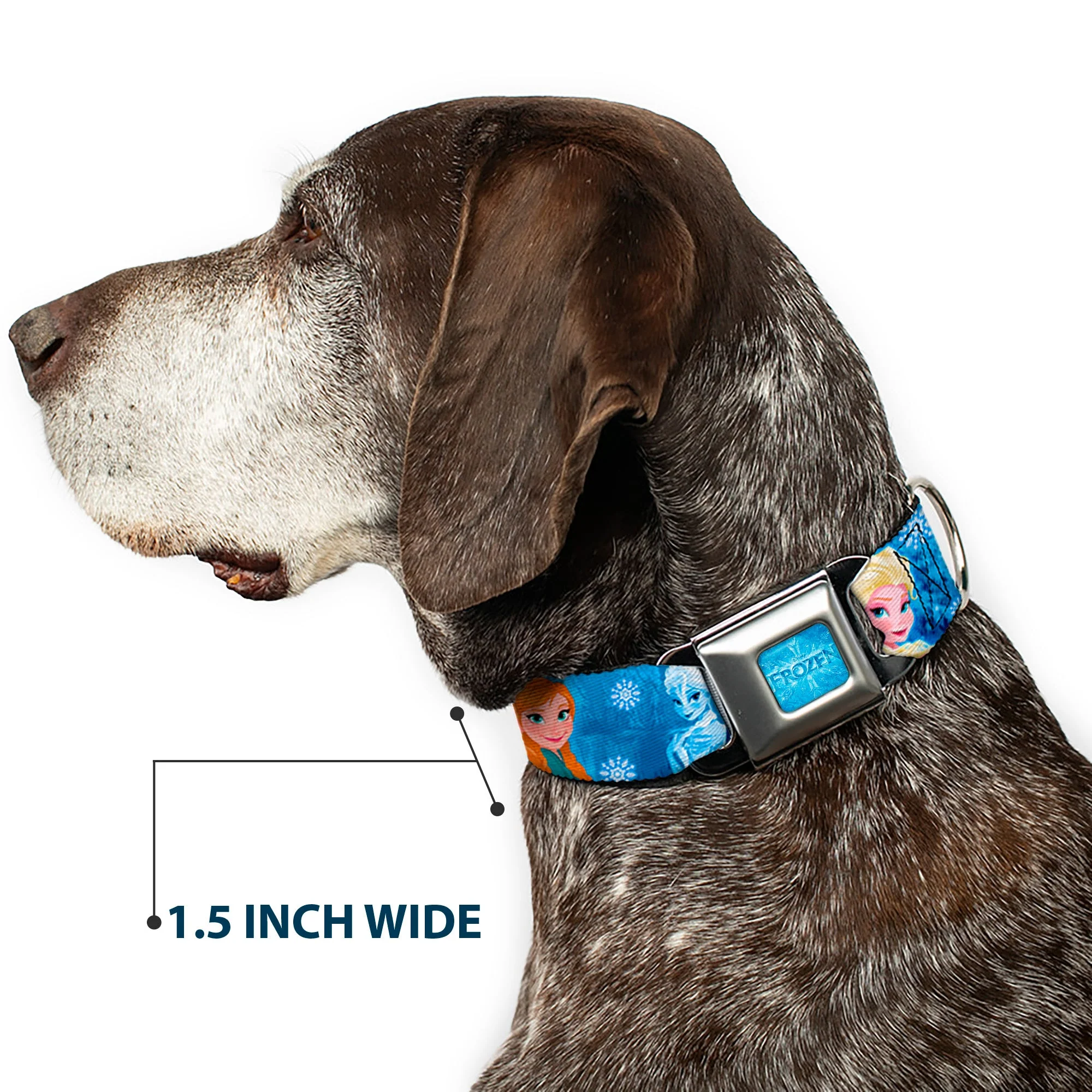FROZEN Logo Full Color Blues Seatbelt Buckle Collar - Frozen Character Poses Blues - Image 7