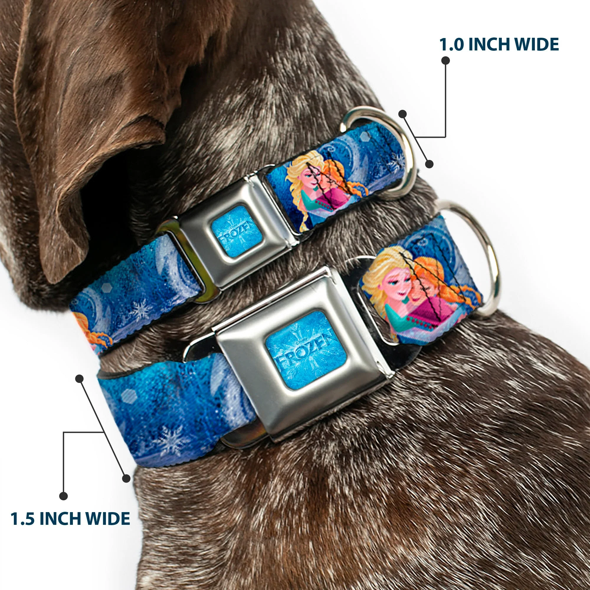 FROZEN Logo Full Color Blues Seatbelt Buckle Collar - Frozen Elsa the Snow Queen Poses/Snowflakes - Image 2