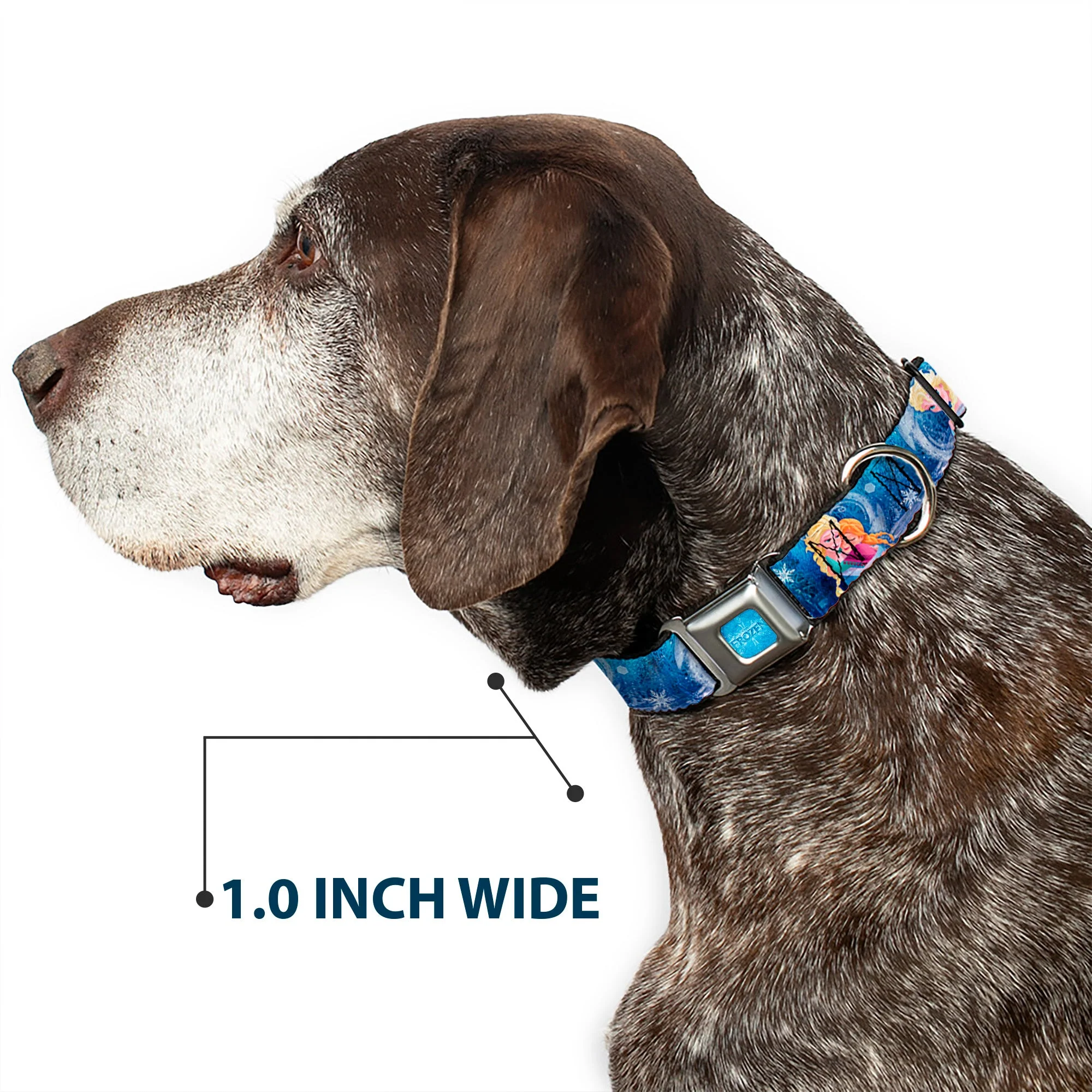 FROZEN Logo Full Color Blues Seatbelt Buckle Collar - Frozen Elsa the Snow Queen Poses/Snowflakes - Image 6