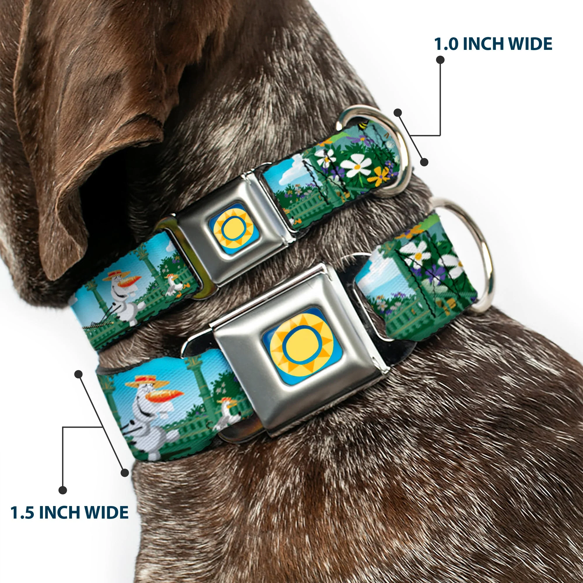Frozen Sun2 Royal Full Color Blue/Yellows Seatbelt Buckle Collar - Olaf Garden Scenes - Image 2