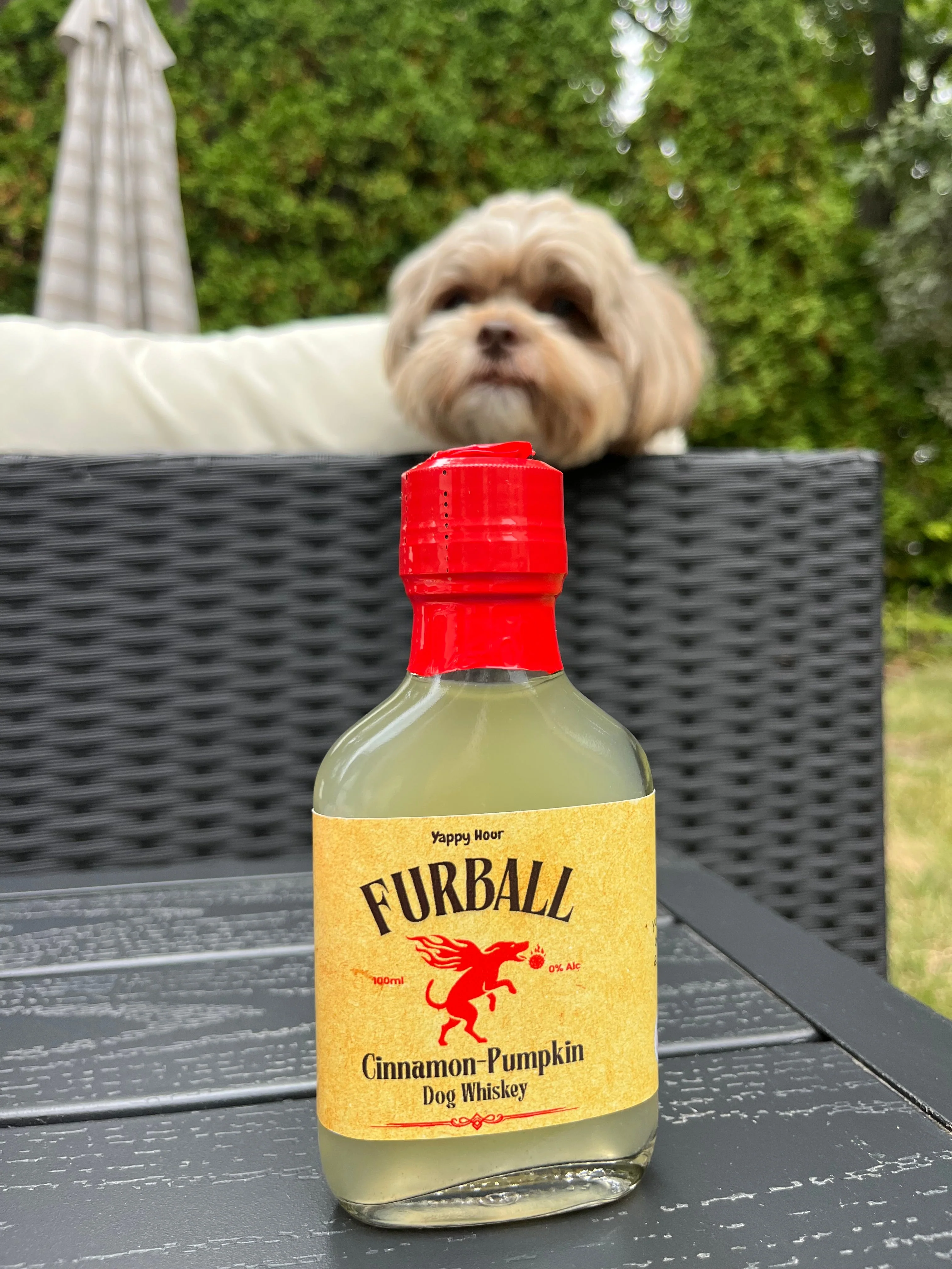 Furball Dog Whiskey Miniatures 4ct - Image 7