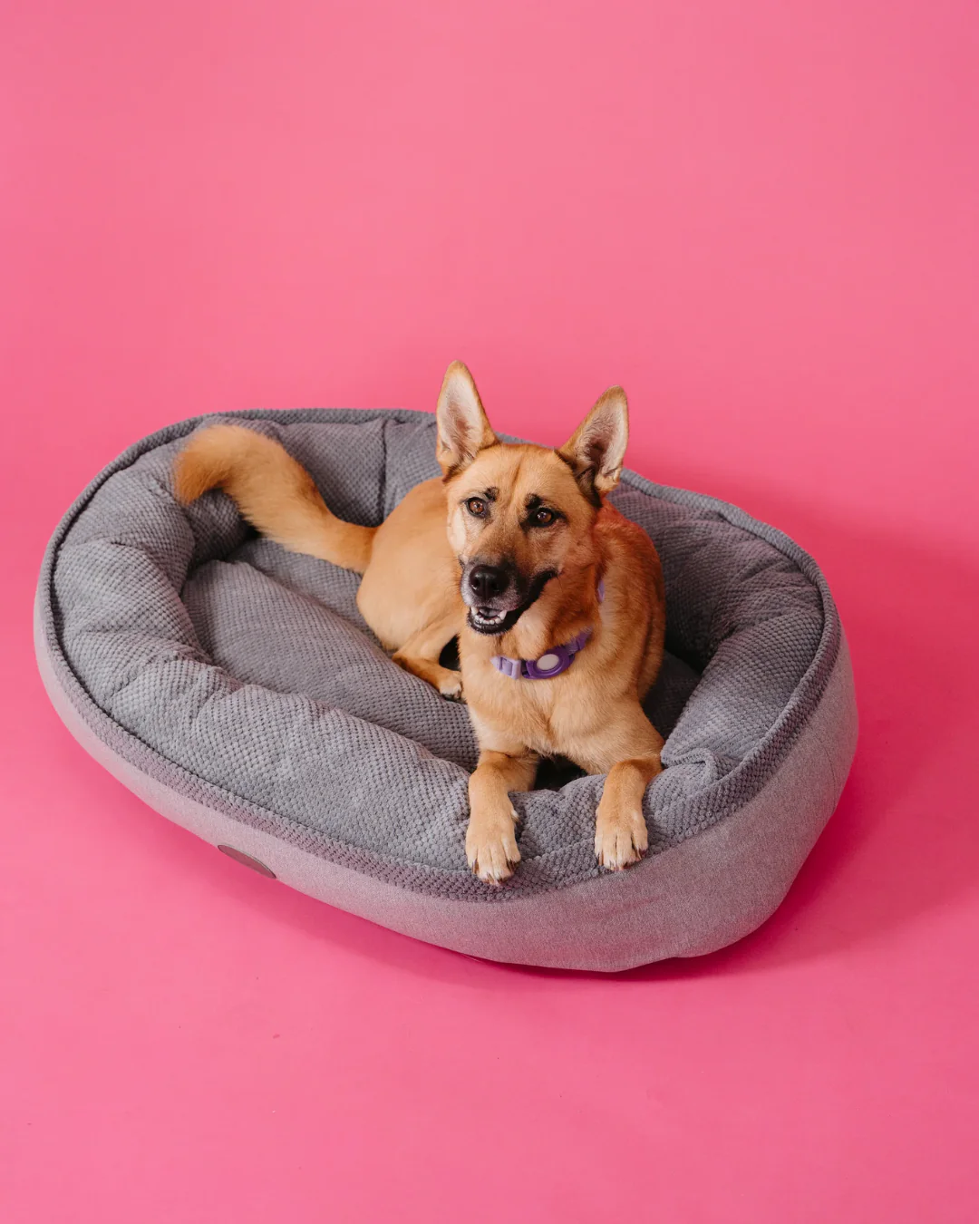 Furry Bagel Dog Bed - Image 2