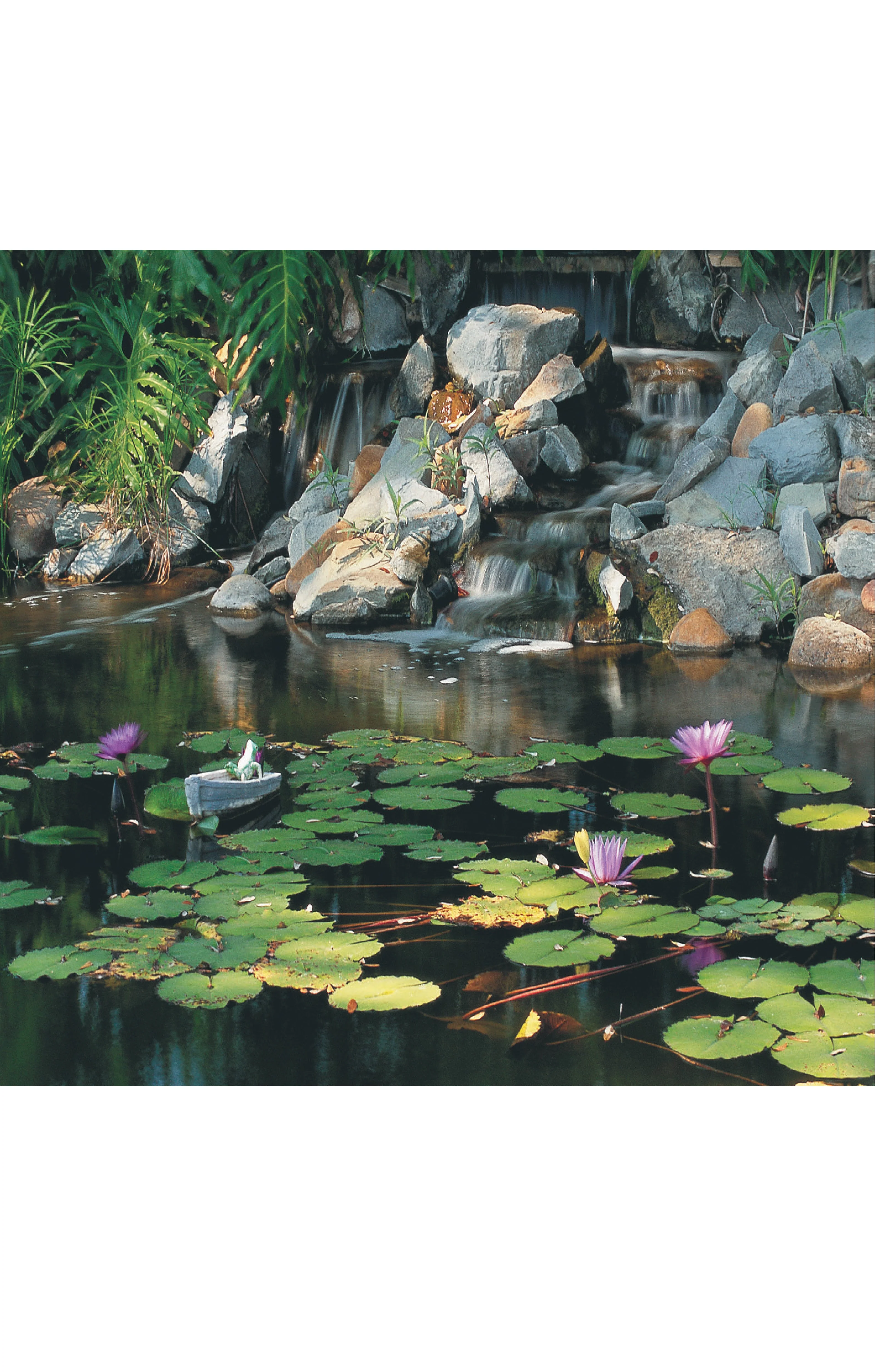 Garden Ponds - Image 2