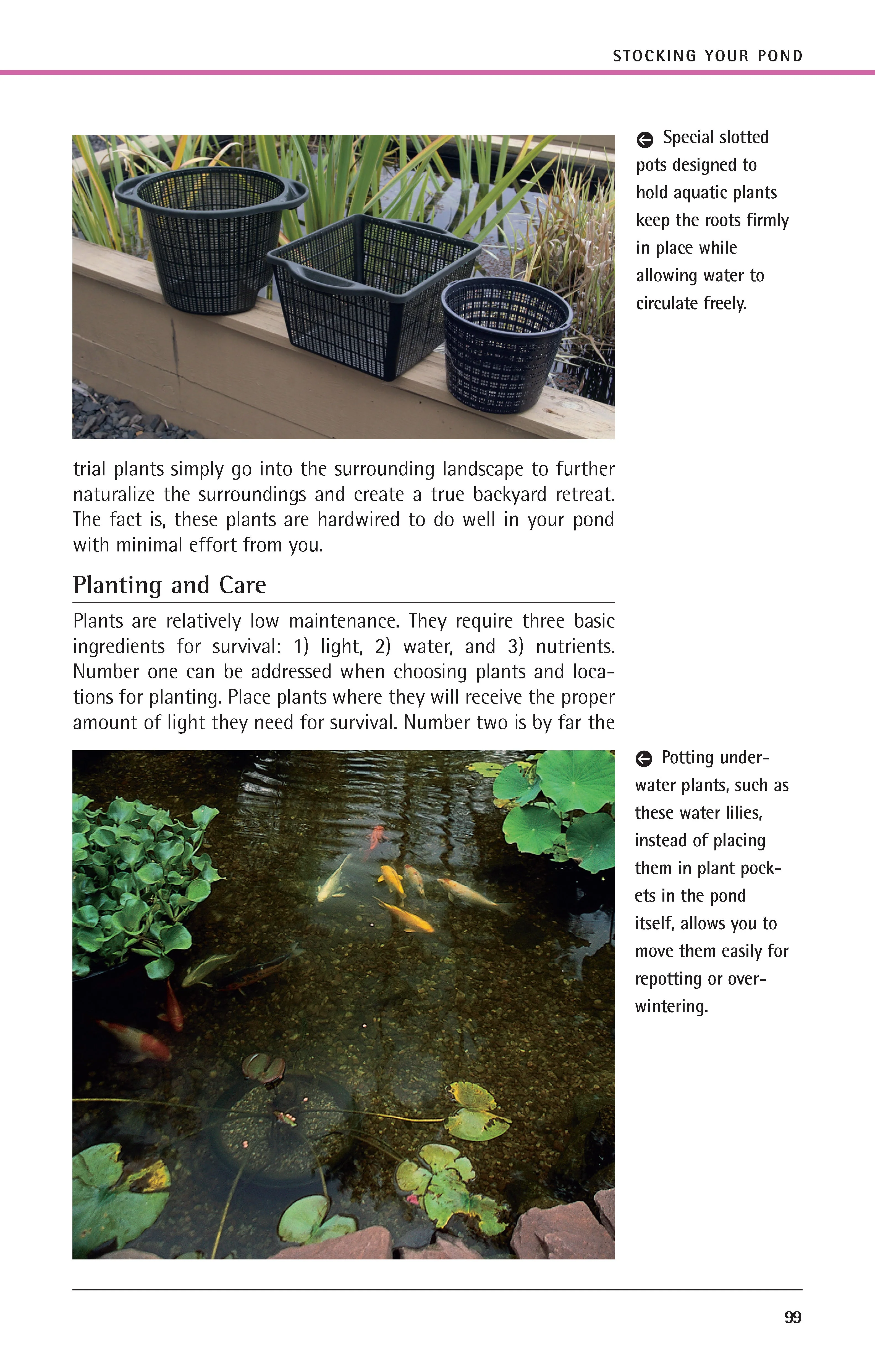 Garden Ponds - Image 6