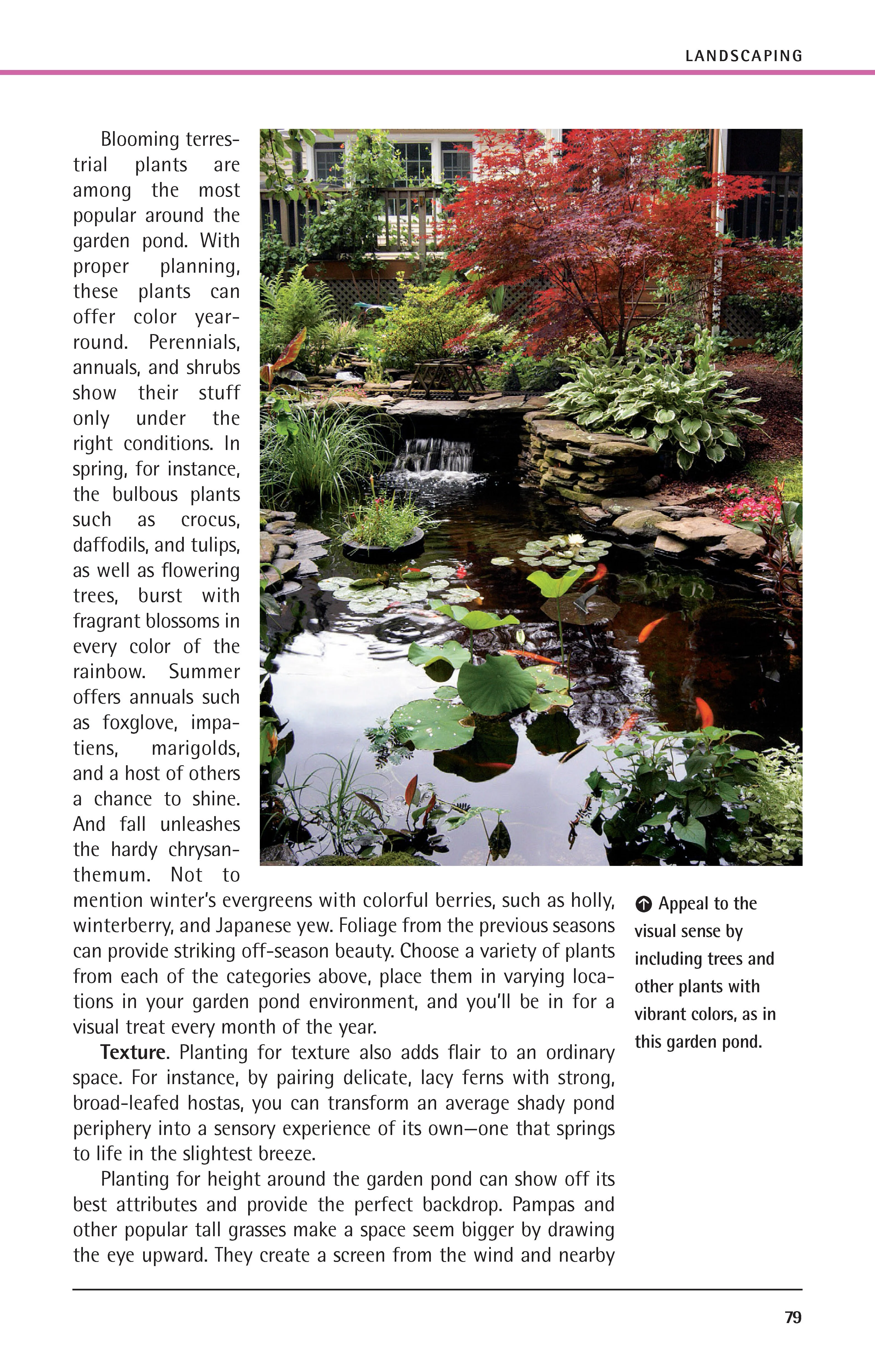Garden Ponds - Image 7