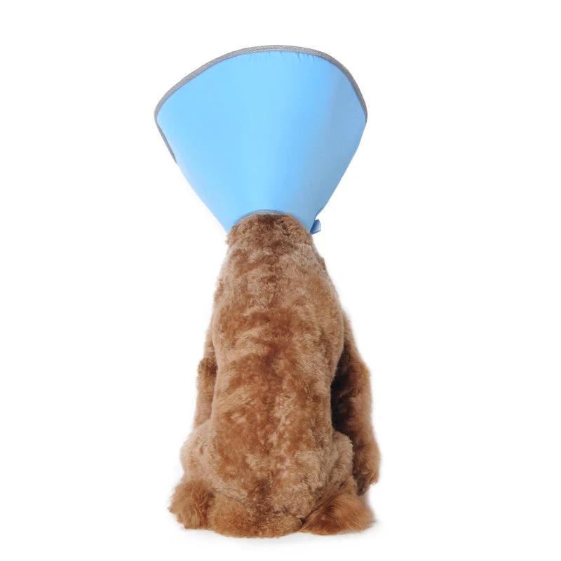 Get Better Recovery E-Collar - Image 21
