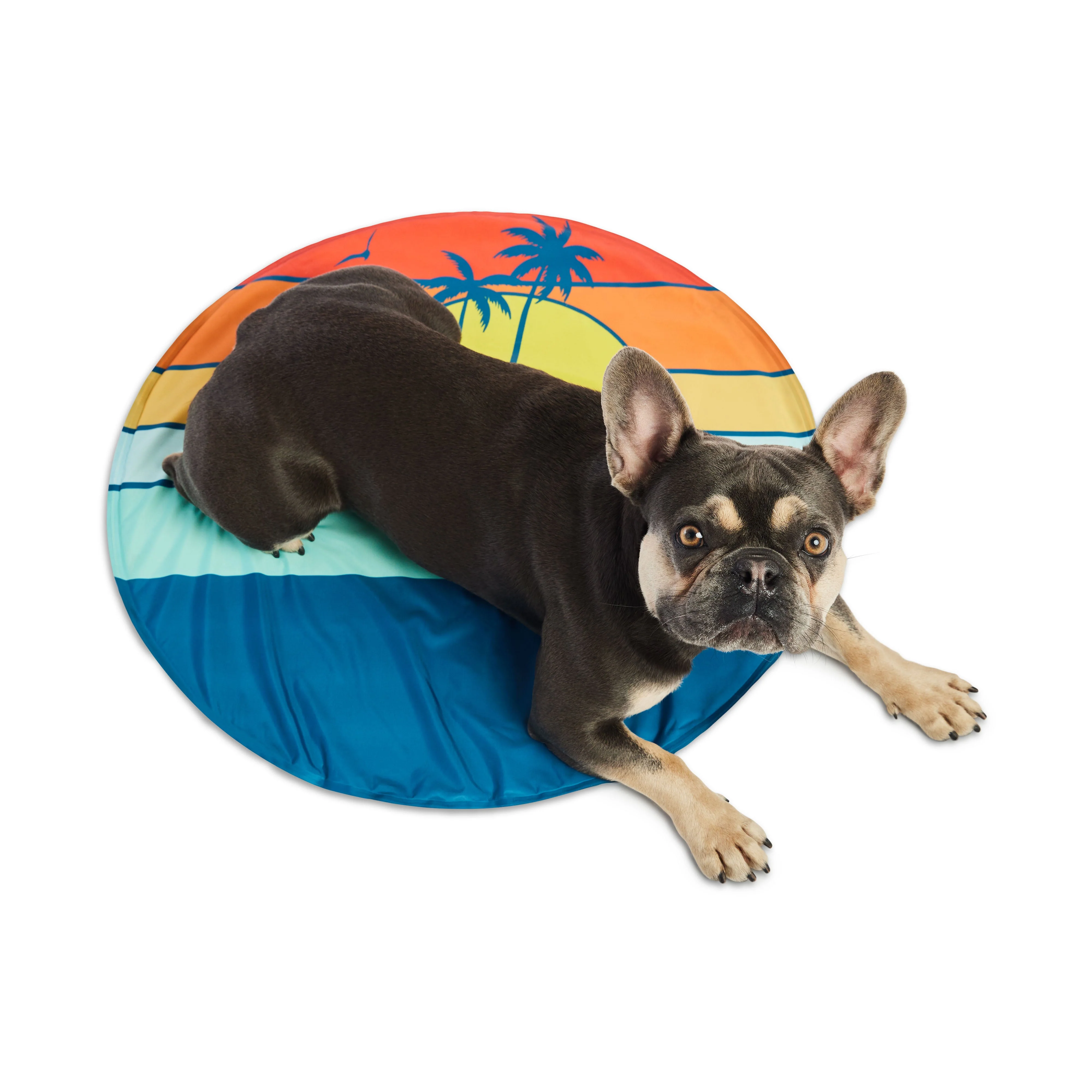 GF Pet.us other Pet Supplies - blue; animal; striped - Image 8