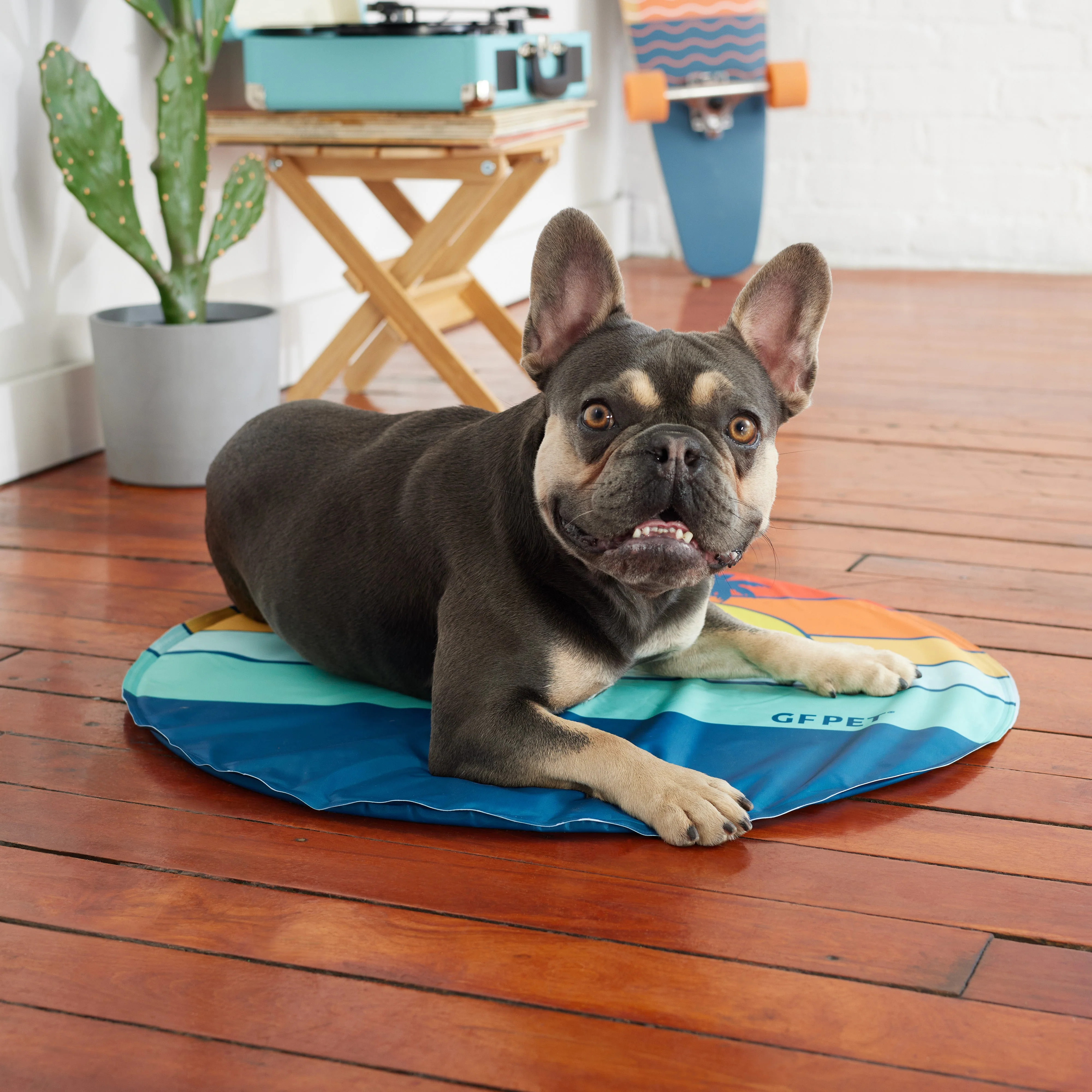 GF Pet.us other Pet Supplies - blue; animal; striped - Image 9