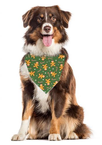 Gingerbread Holiday Pet Bandana - Image 3