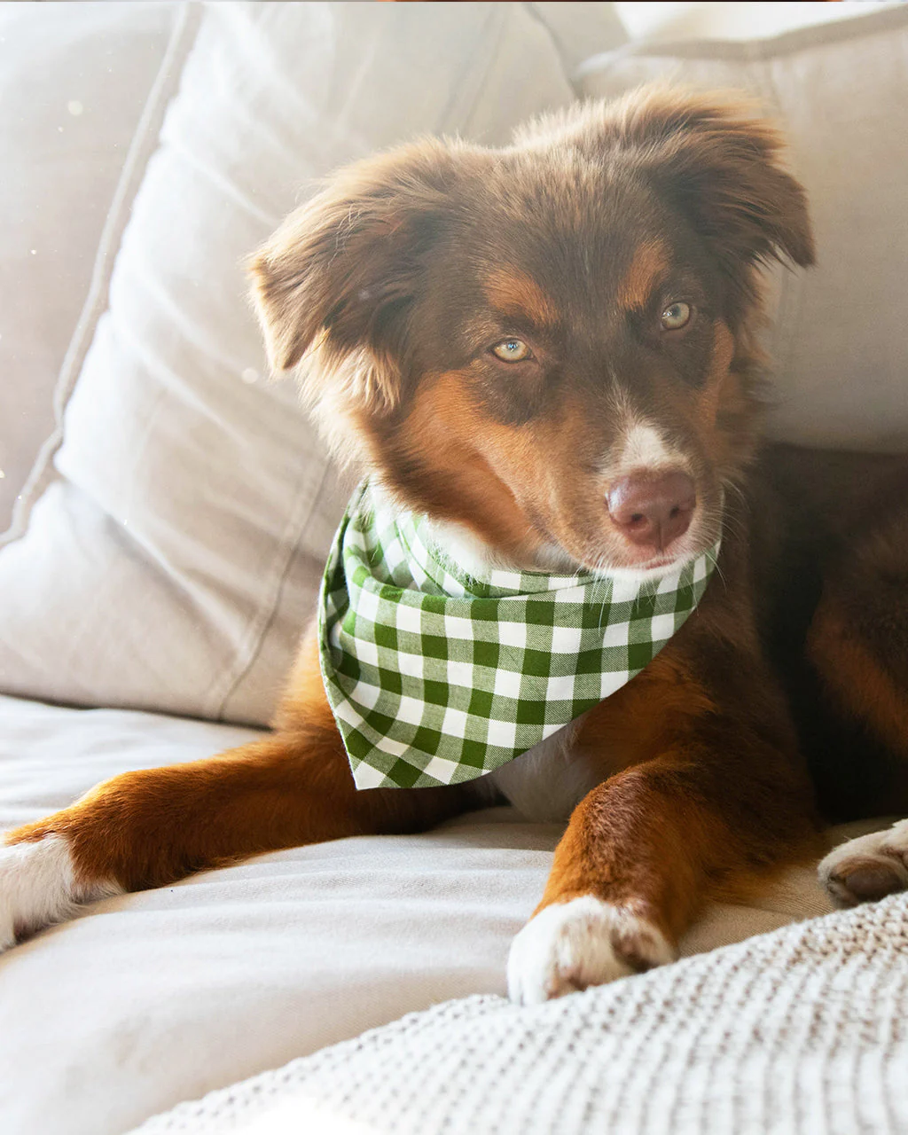 GINGHAM BANDANA - Image 2