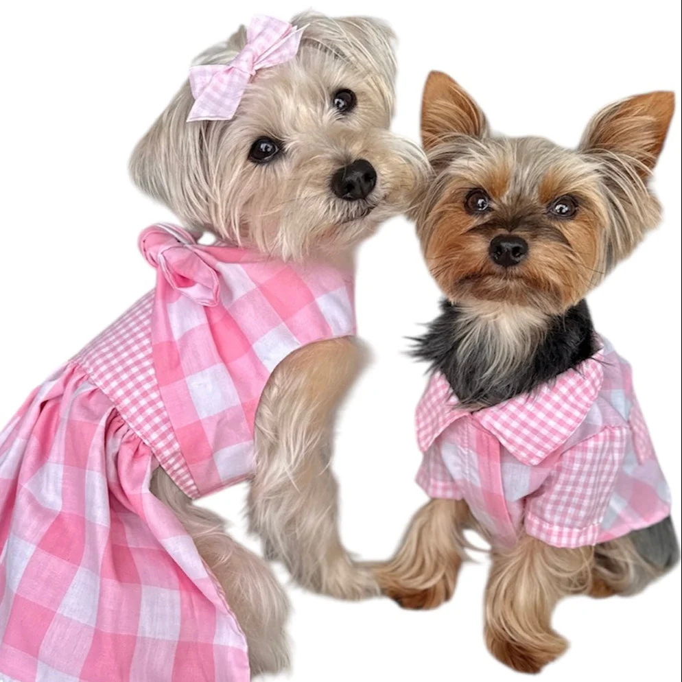 Gingham Picnic Shirt - Image 4