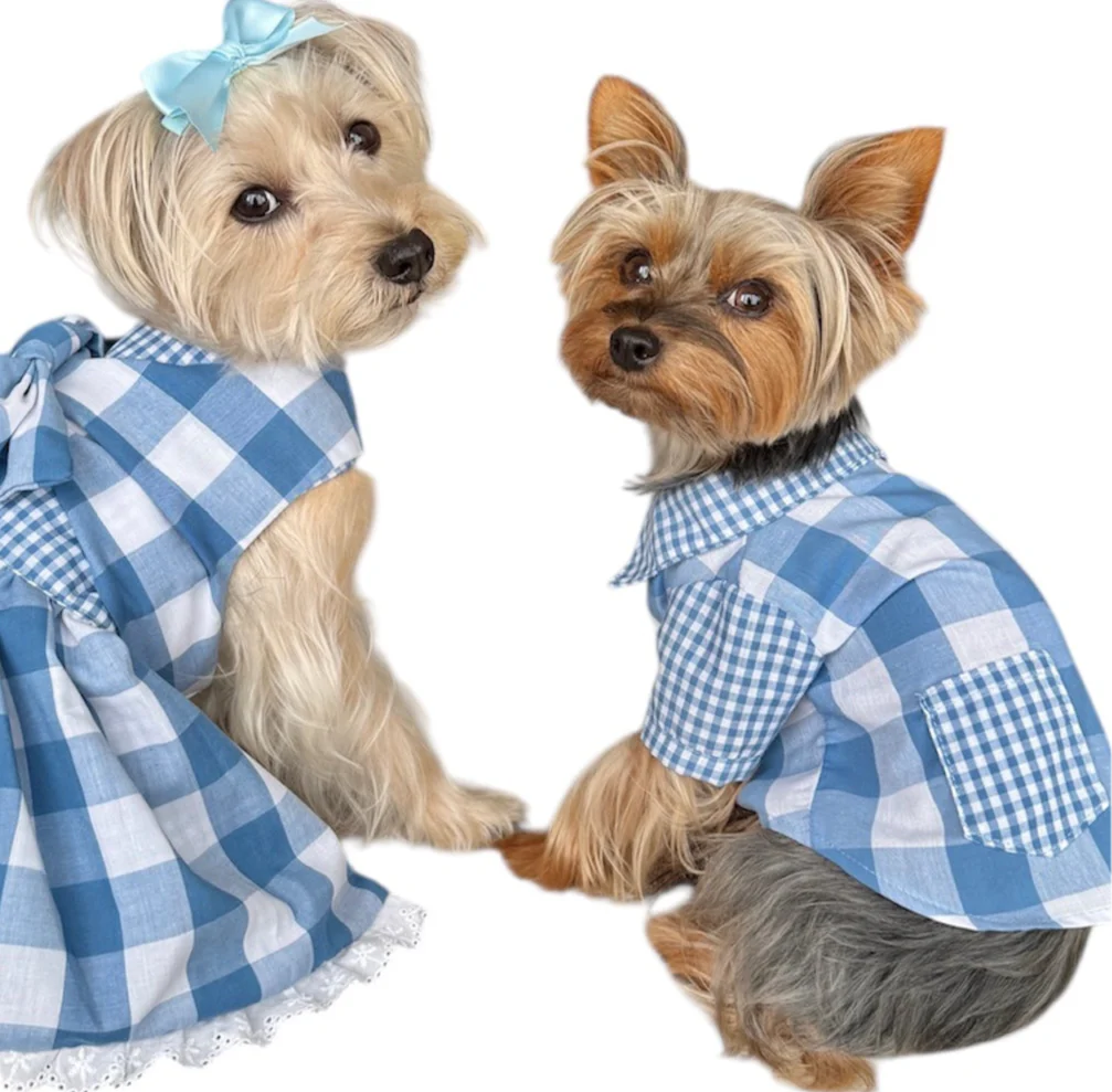 Gingham Picnic Shirt - Image 5
