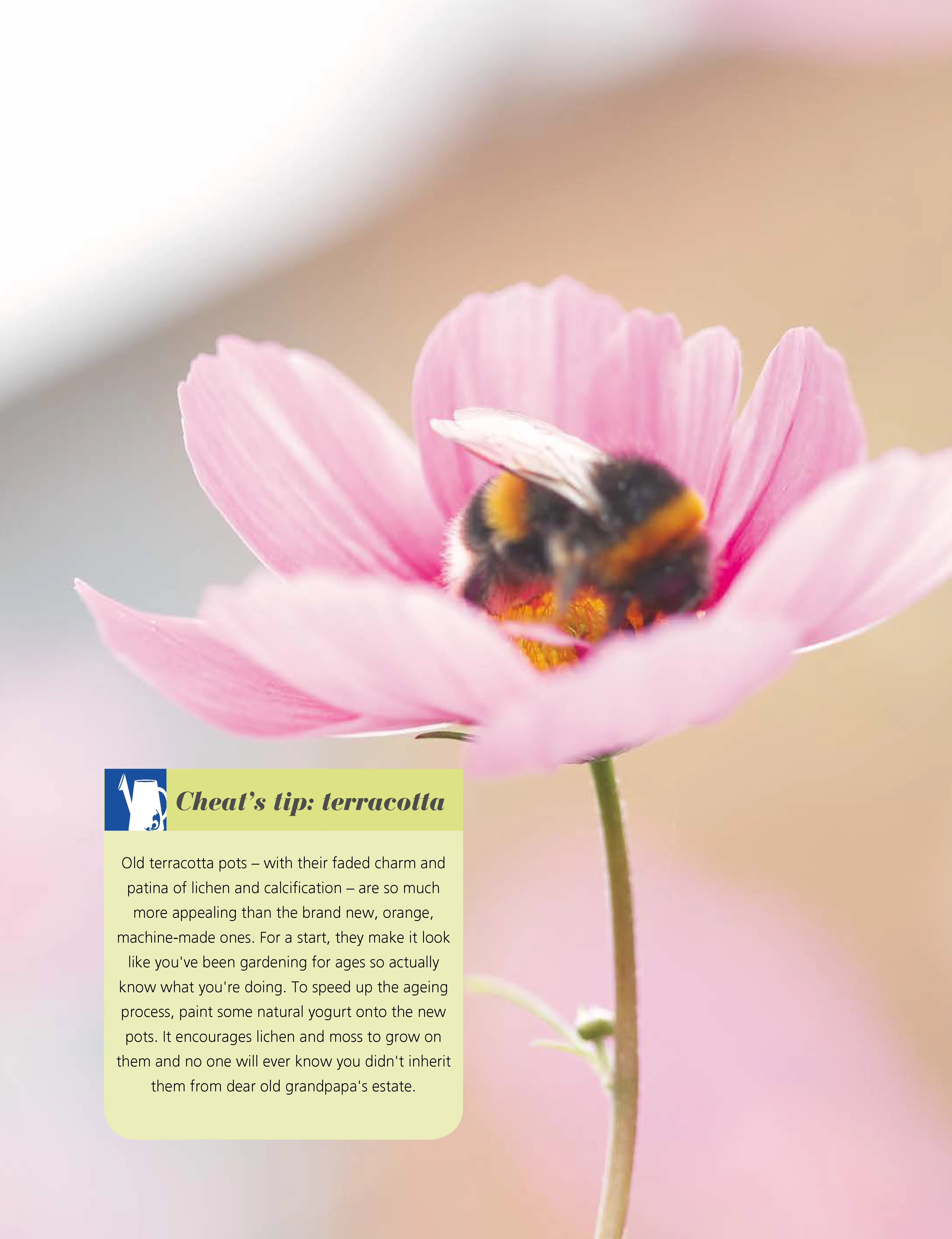 Girl's Guide to Growing Your Own, The - Image 3