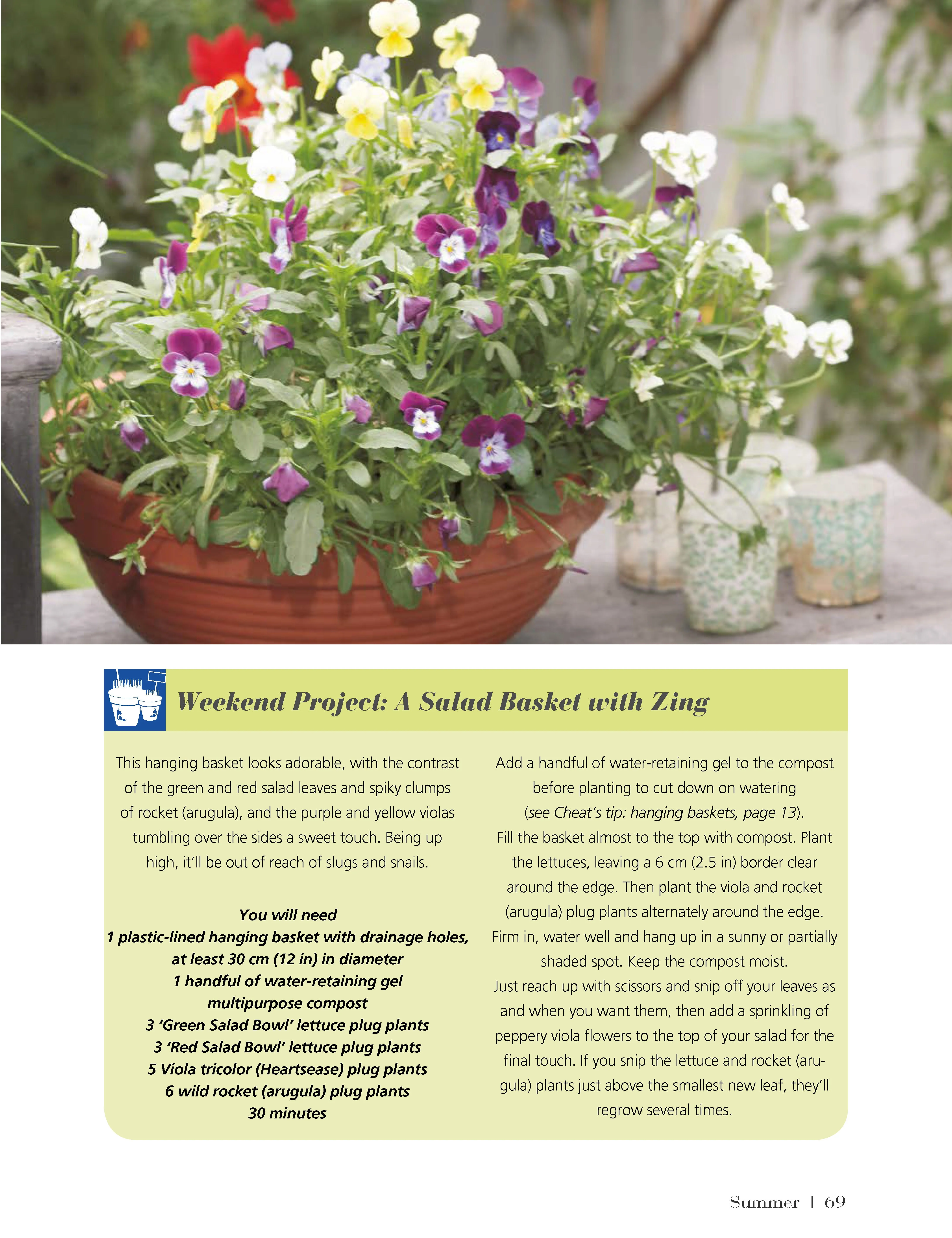 Girl's Guide to Growing Your Own, The - Image 4
