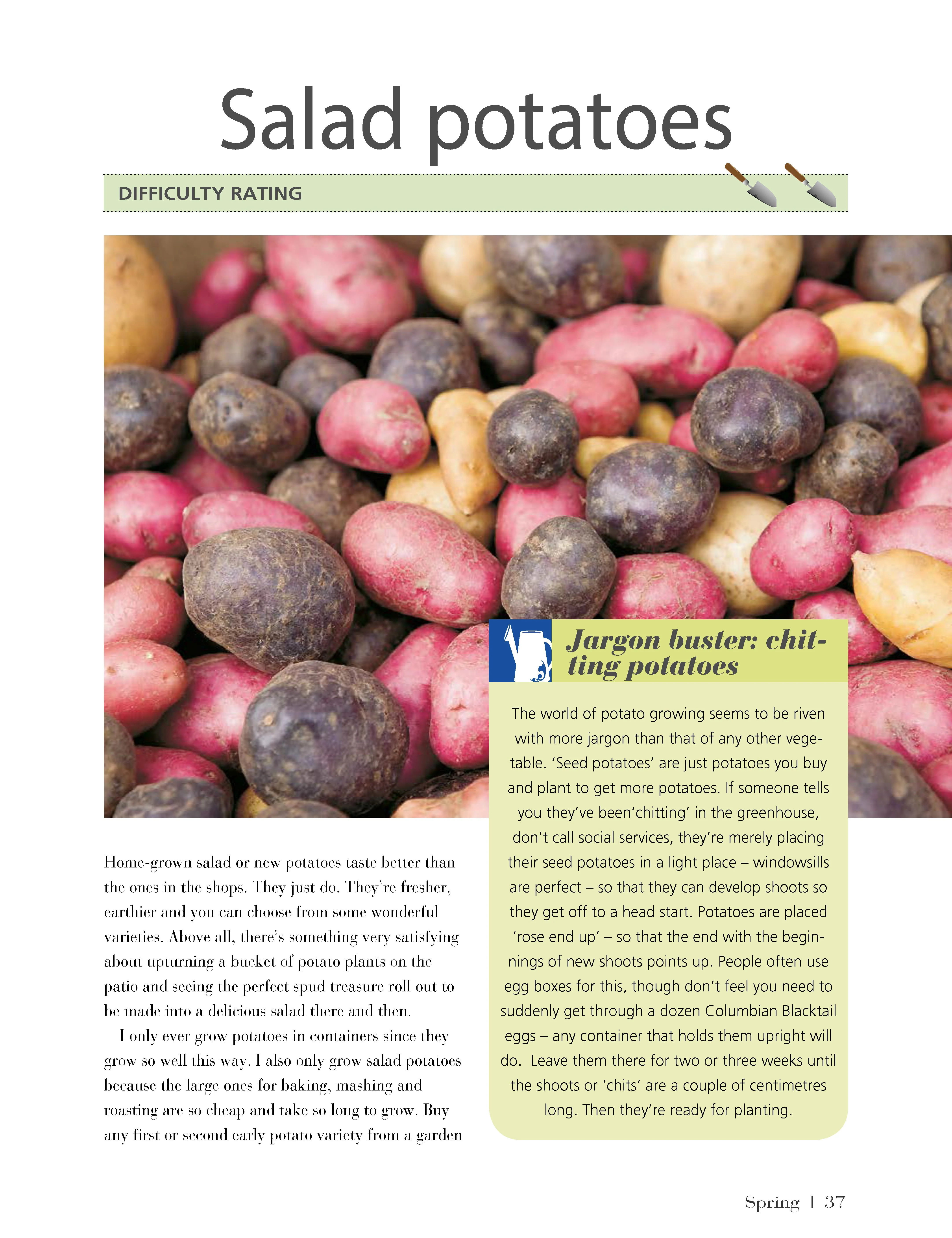 Girl's Guide to Growing Your Own, The - Image 5