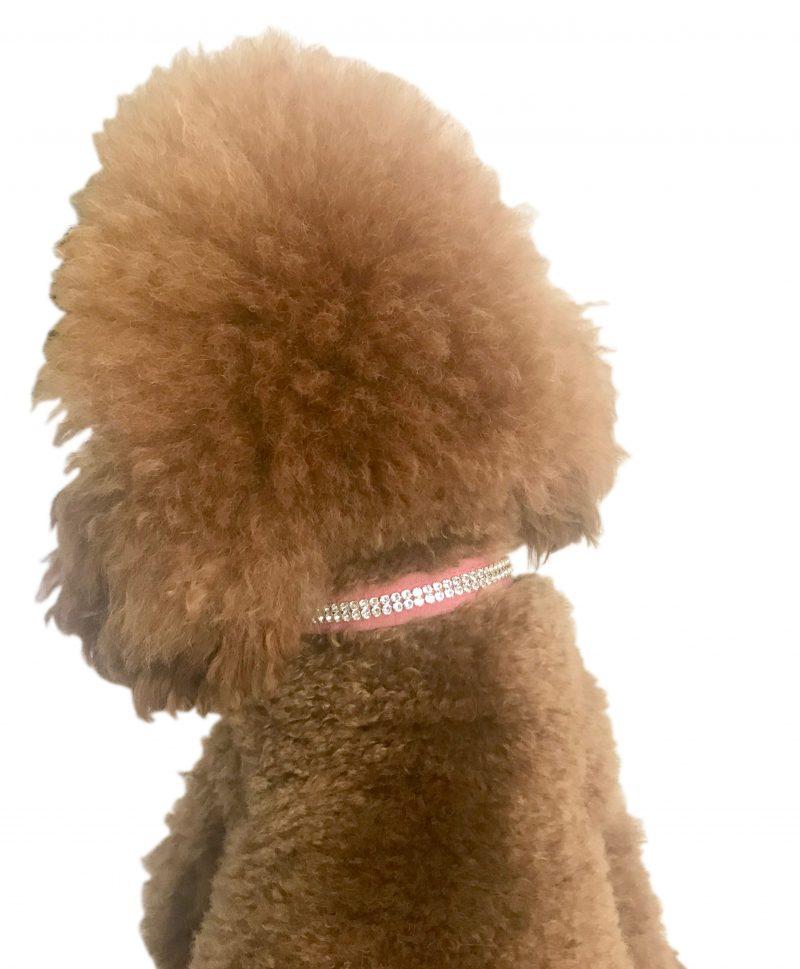 Glamour Girl Ultrasuede Collar w/ Swarovski Crystal, Bubblegum - Image 2